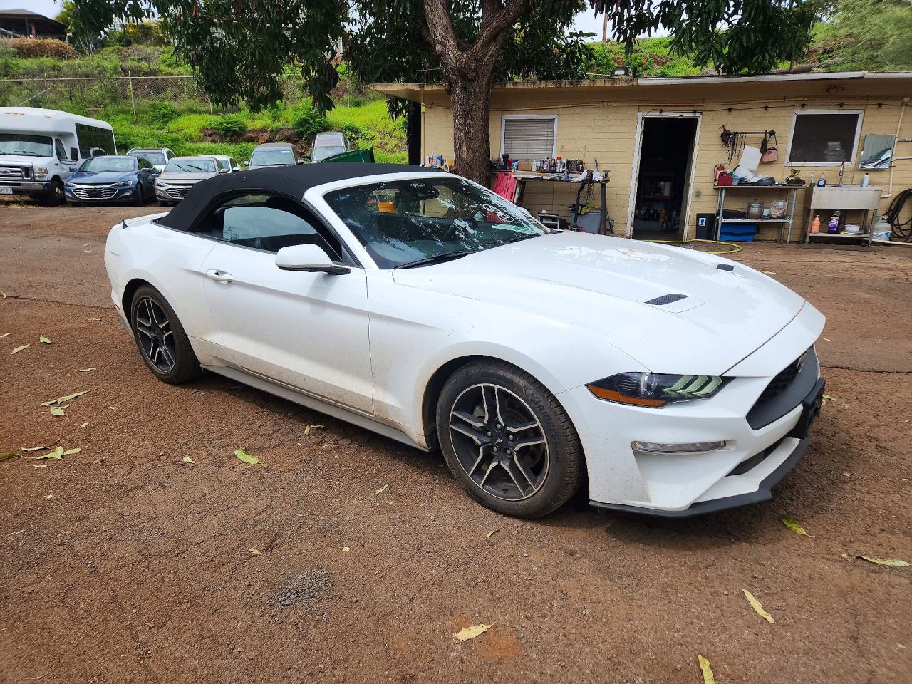 2023 Ford All models VIN 1FATP8UHXP5108474 photo 4