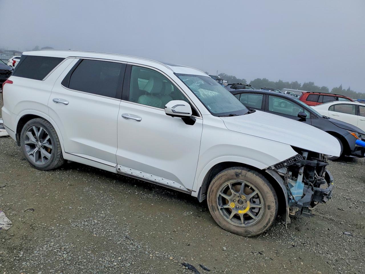 2021 Hyundai Palisade VIN KM8R5DHE4MU277387 photo 4