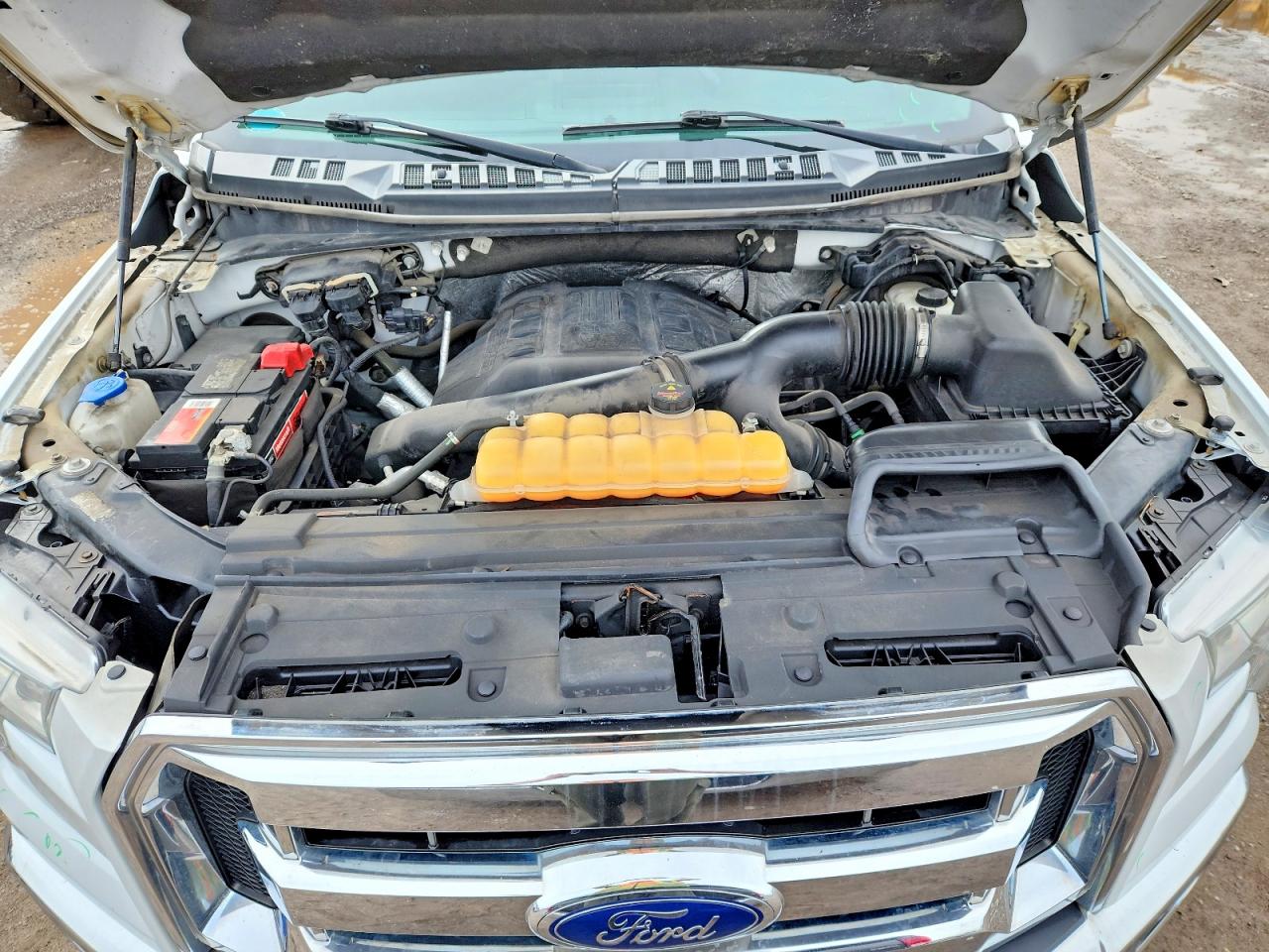 2016 Ford F150 VIN 1FTFX1EGXGFB16296 photo 11