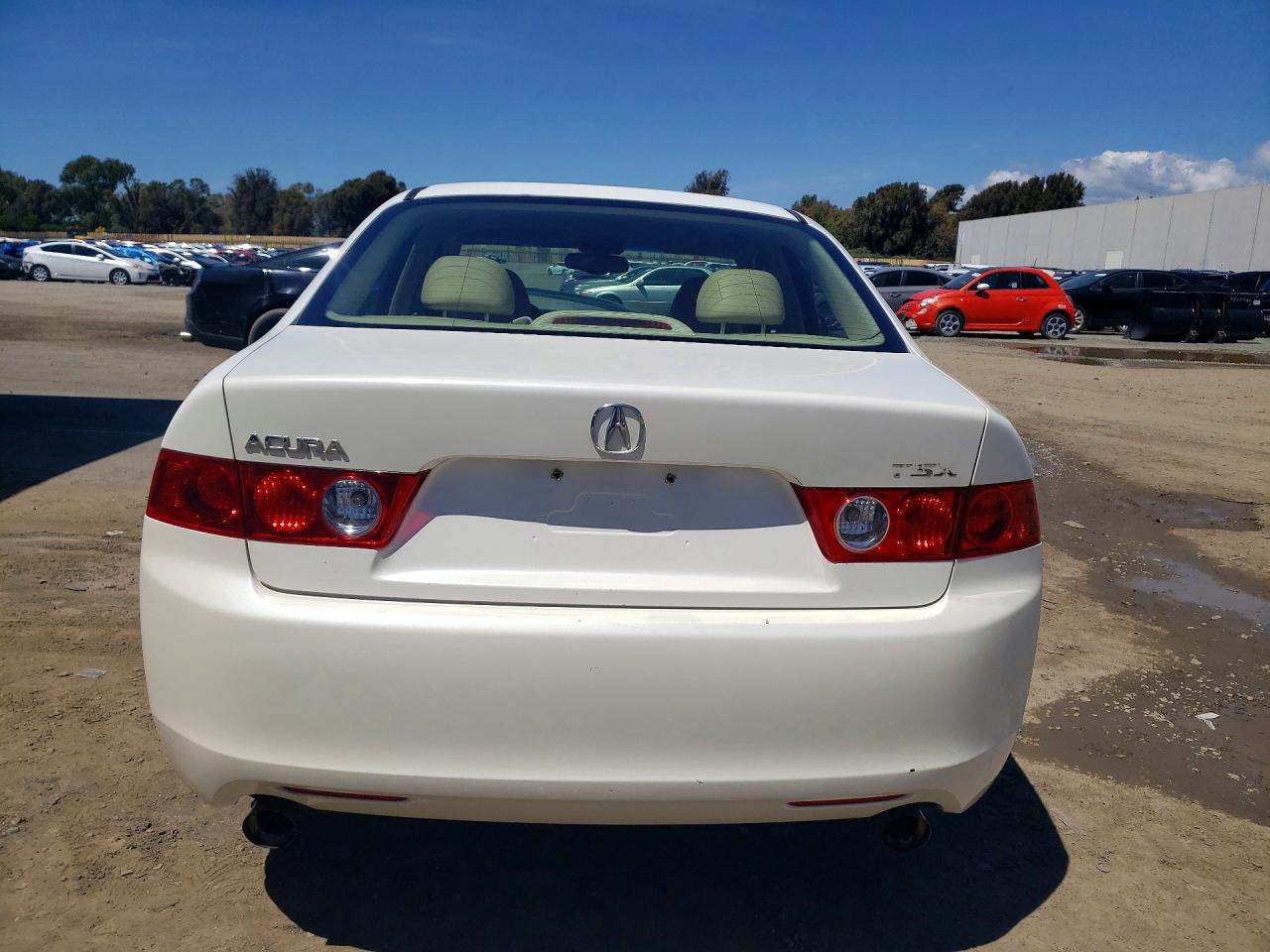 2004 Acura Tsx VIN JH4CL96904C029662 photo 6