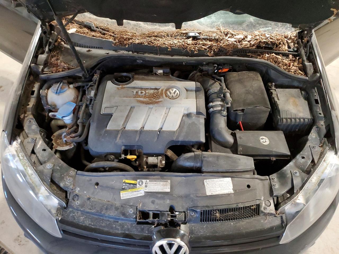 2014 Volkswagen Golf VIN WVWNM7AJ3EW007877 photo 11