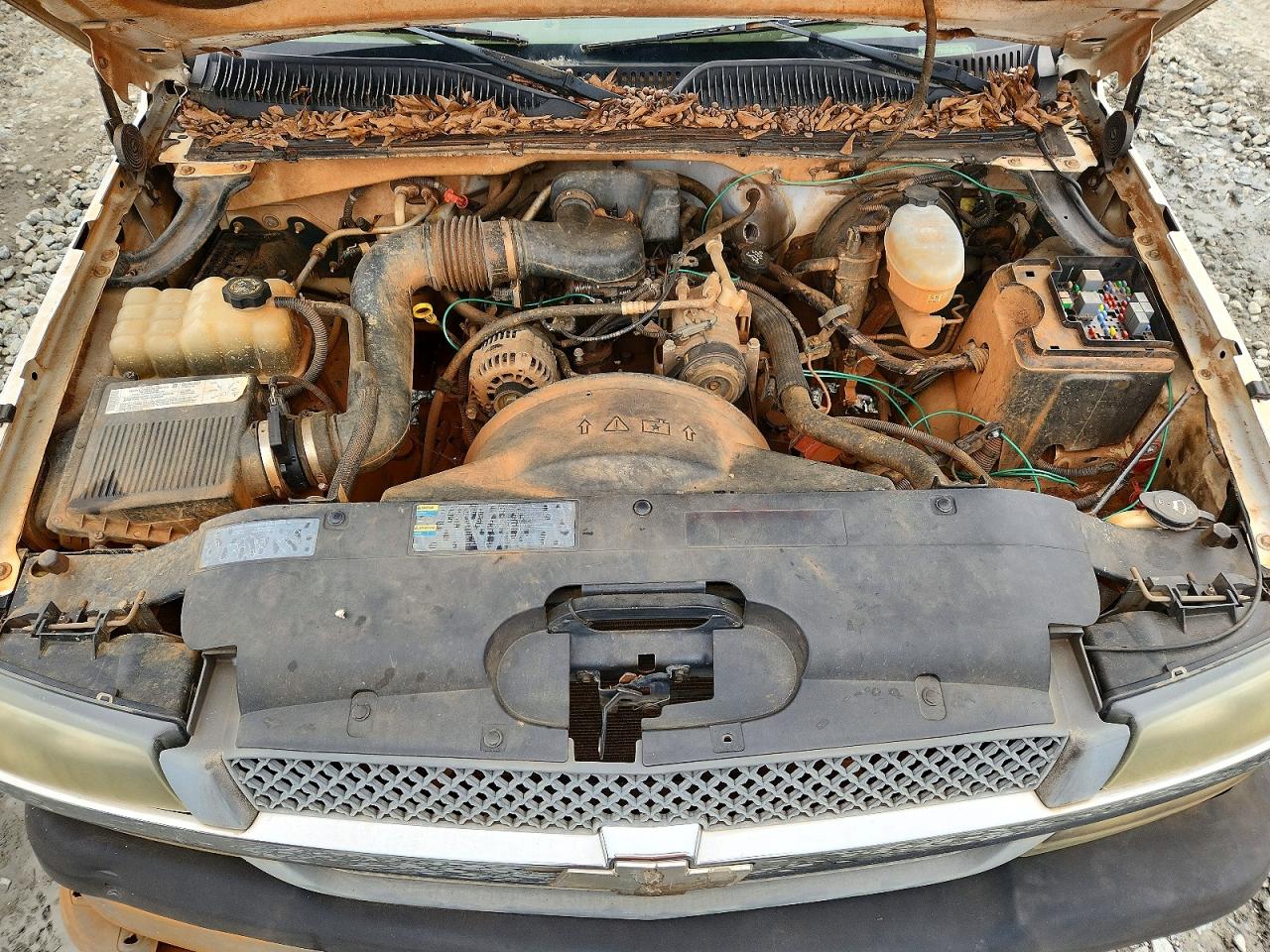 2004 Chevrolet All models VIN 1GCEC14X04Z178129 photo 11