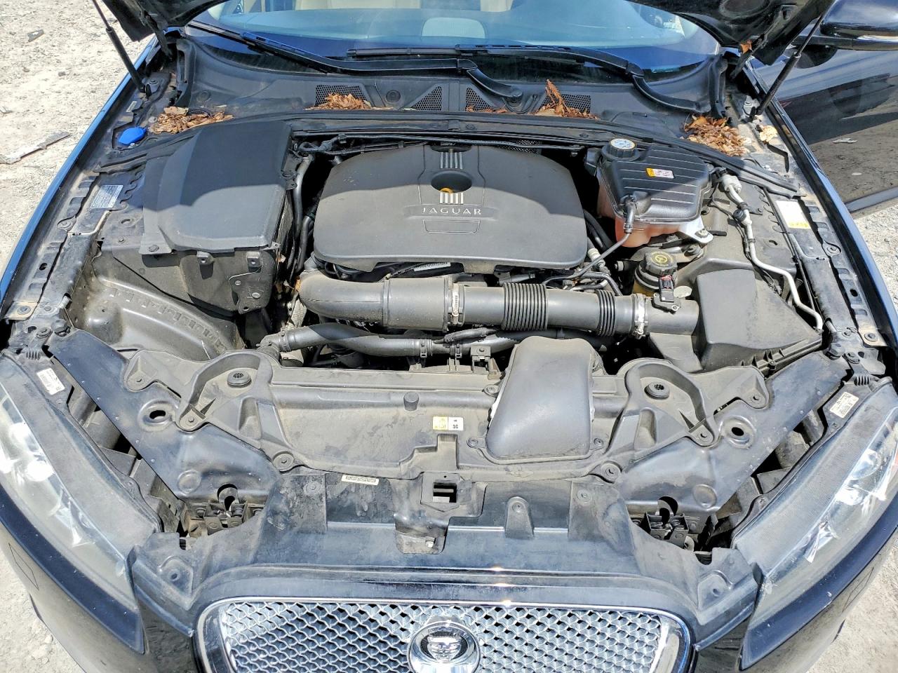 2013 Jaguar Xf VIN SAJWA0ESXDPS72846 photo 11