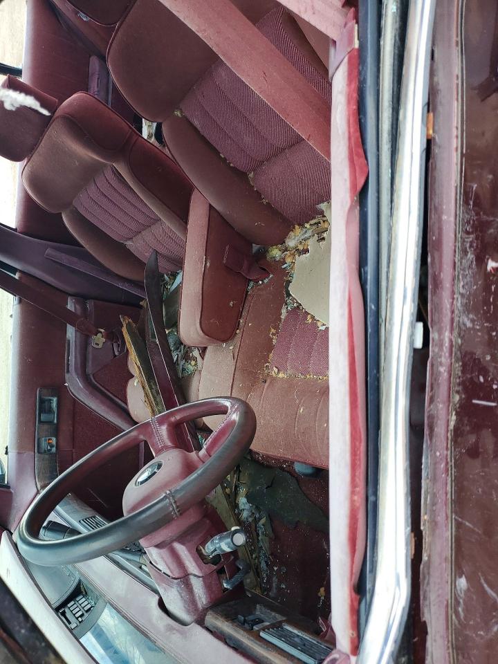 1992 CHEV All models VIN 2G1WL54TXN9287078 photo 7
