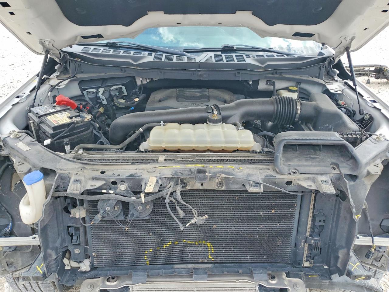 2021 Ford F150 VIN 1FTFW1E89MFA32686 photo 11
