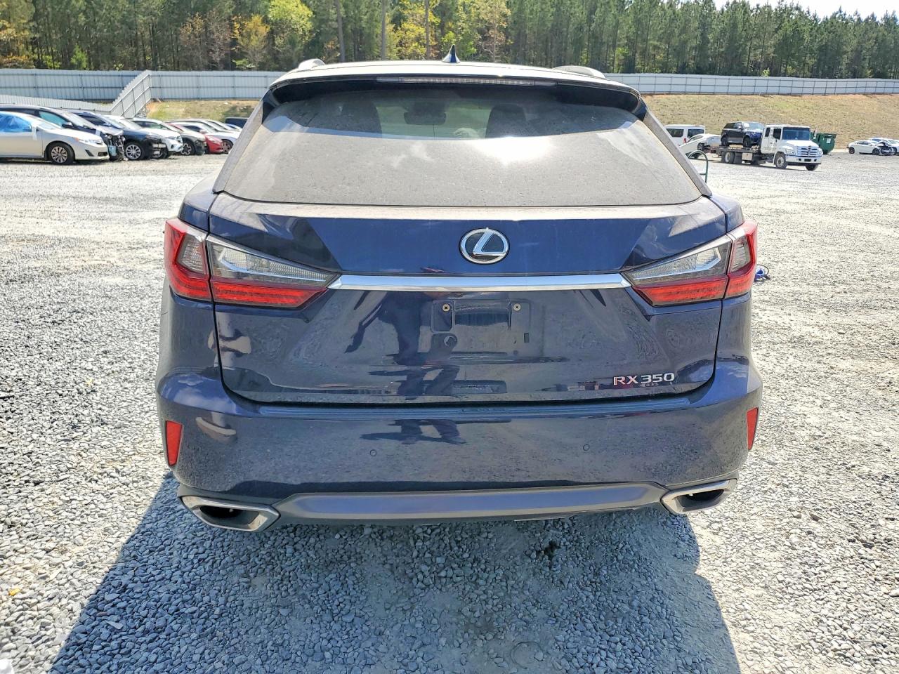 2017 Rx350 VIN 2T2BZMCA1HC088483 photo 6