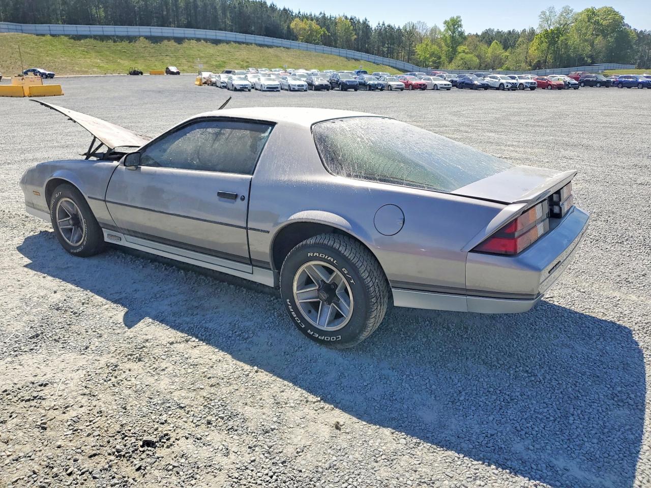 1983 CHEV Camaro VIN 1G1AP87S3DN158856 photo 2
