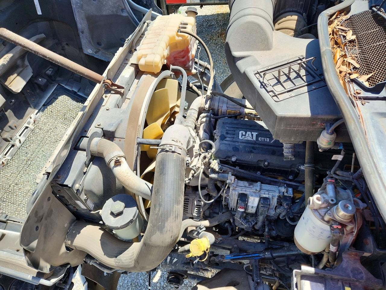 2016 CATERPILLAR All other VIN 3HTJGTKT3GN201663 photo 7