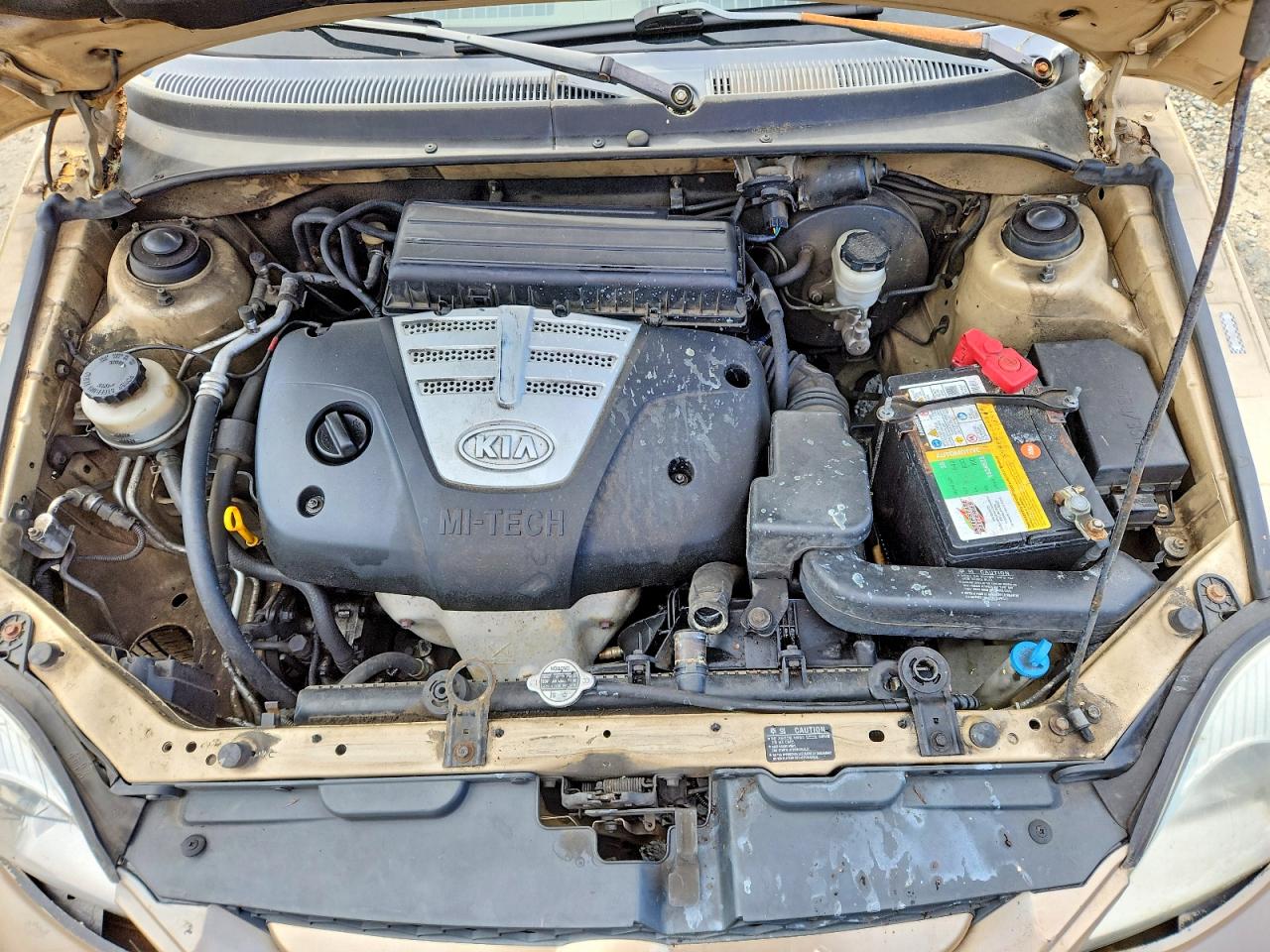 2003 Kia Rio VIN KNADC125636209300 photo 11