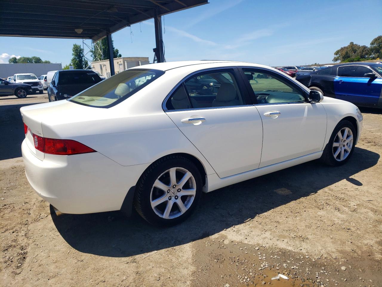 2004 Acura Tsx VIN JH4CL96904C029662 photo 3