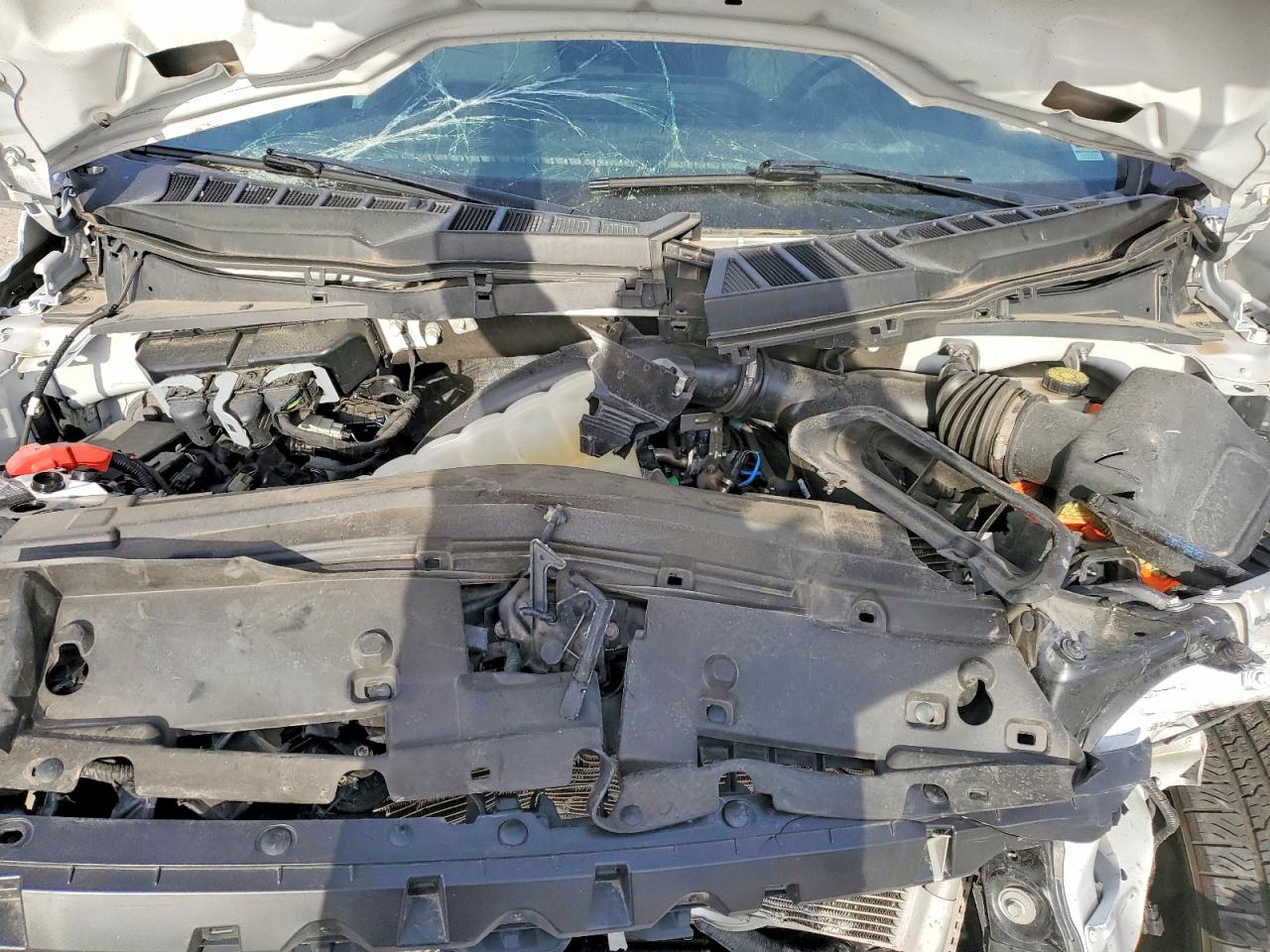 2024 Ford F150 VIN 1FTEX2KP5RKD68389 photo 11