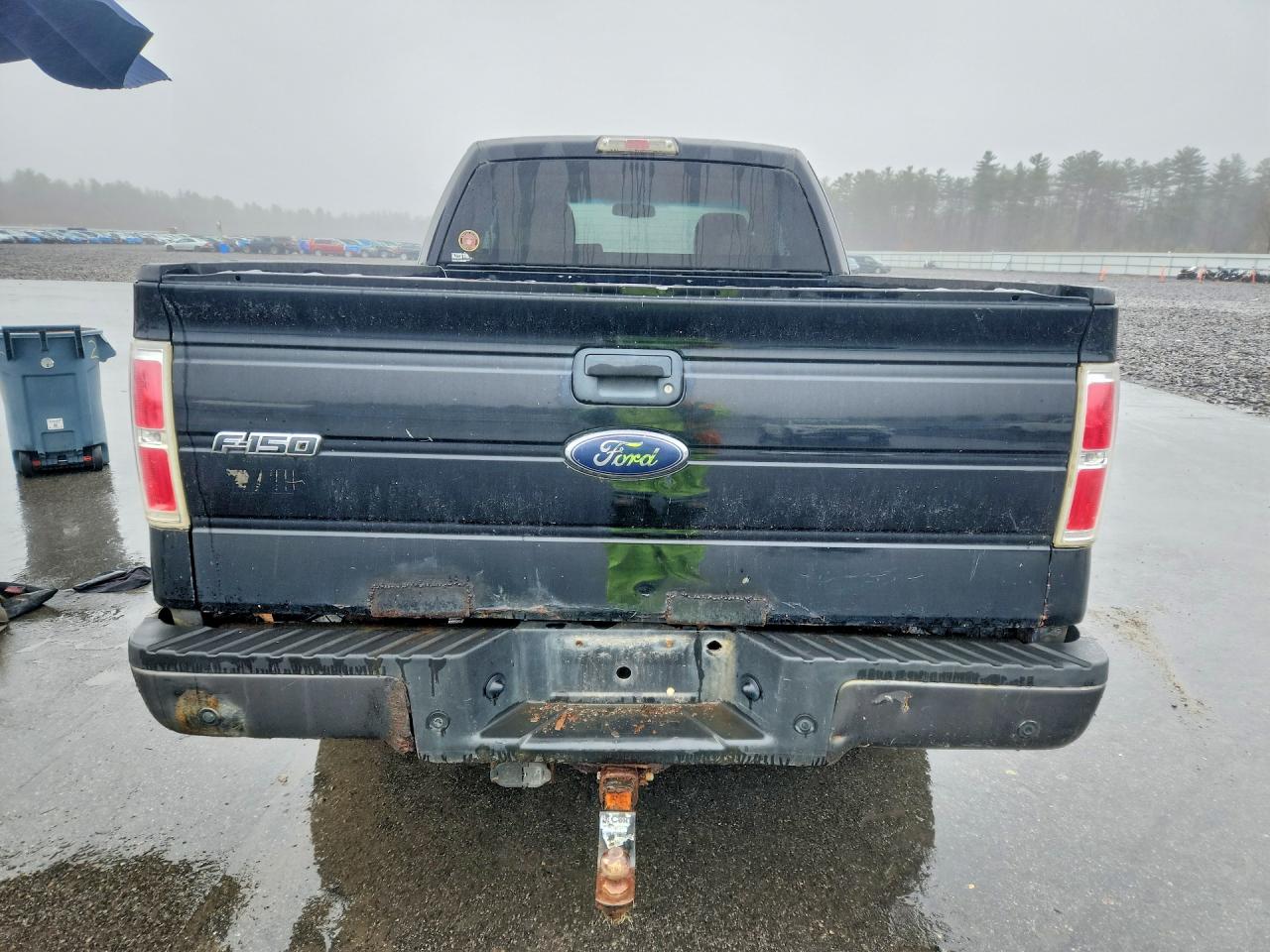 2009 Ford F150 VIN 1FTPX14V69FA75091 photo 6