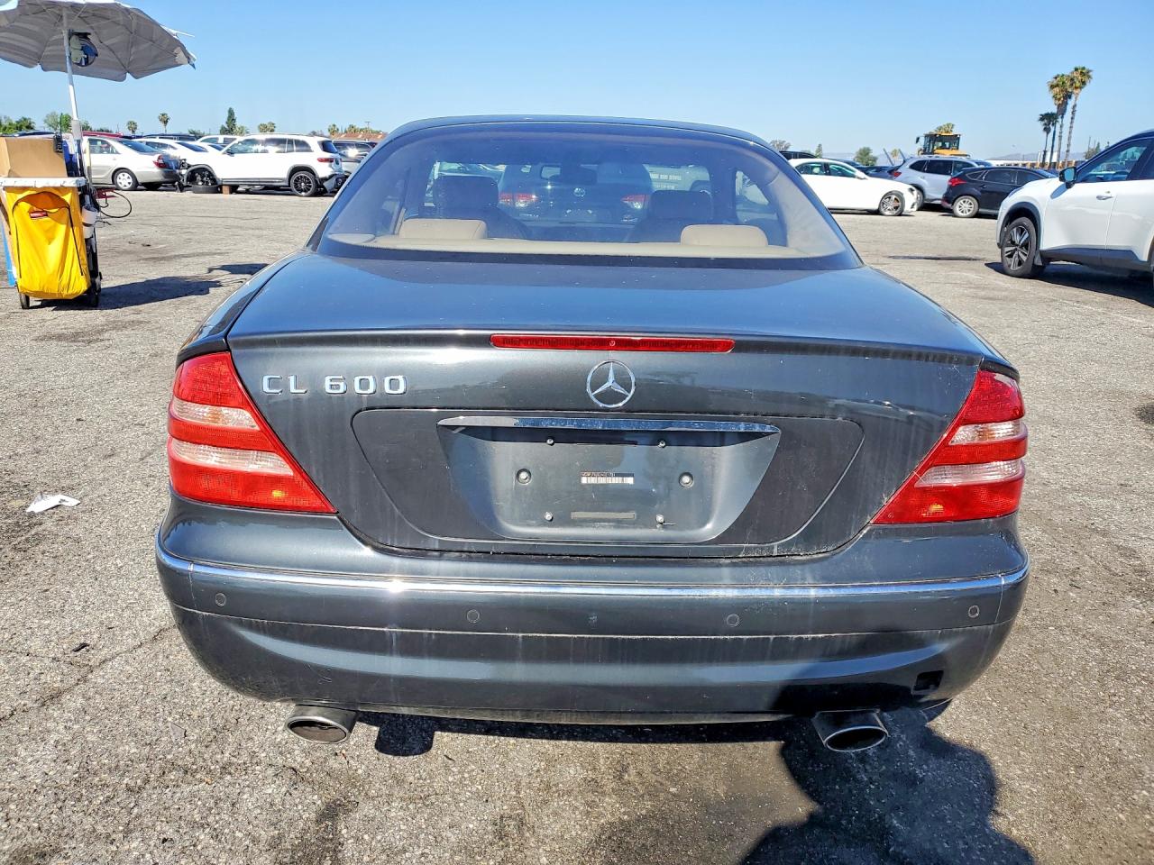 2002 Mercedes-Benz Cl-class VIN WDBPJ78J32A021731 photo 6