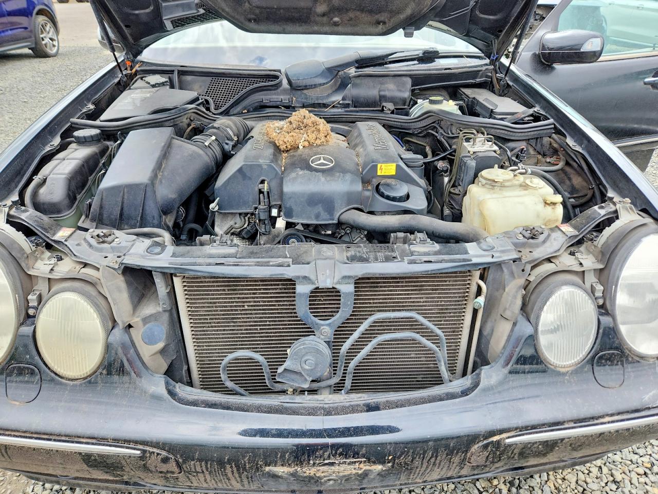 2000 Mercedes-Benz E-class VIN WDBJF82J3YX039044 photo 11