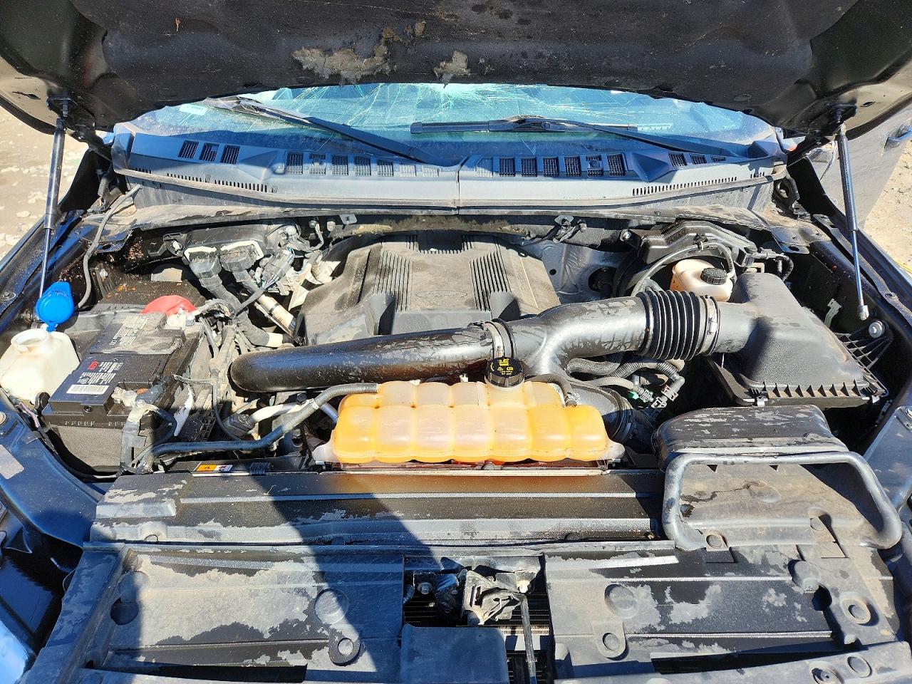 2018 Ford F150 VIN 1FTEW1EG4JFB97561 photo 11