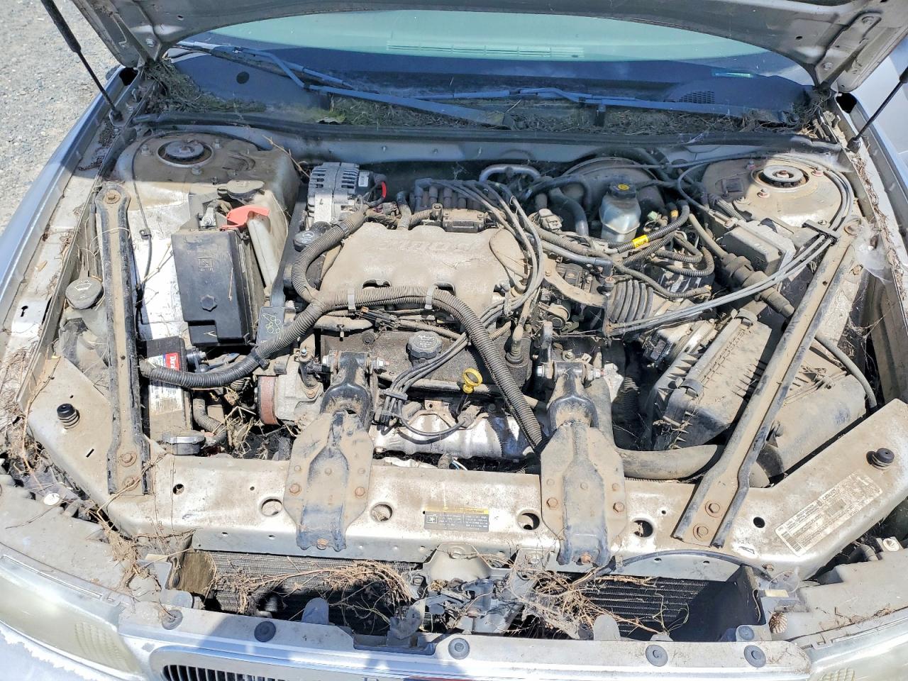 2002 Century VIN 2G4WS52J821283029 photo 11