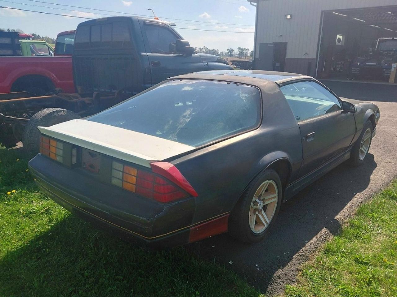 1987 CHEV Camaro VIN 1G1FP21F9HN102666 photo 4