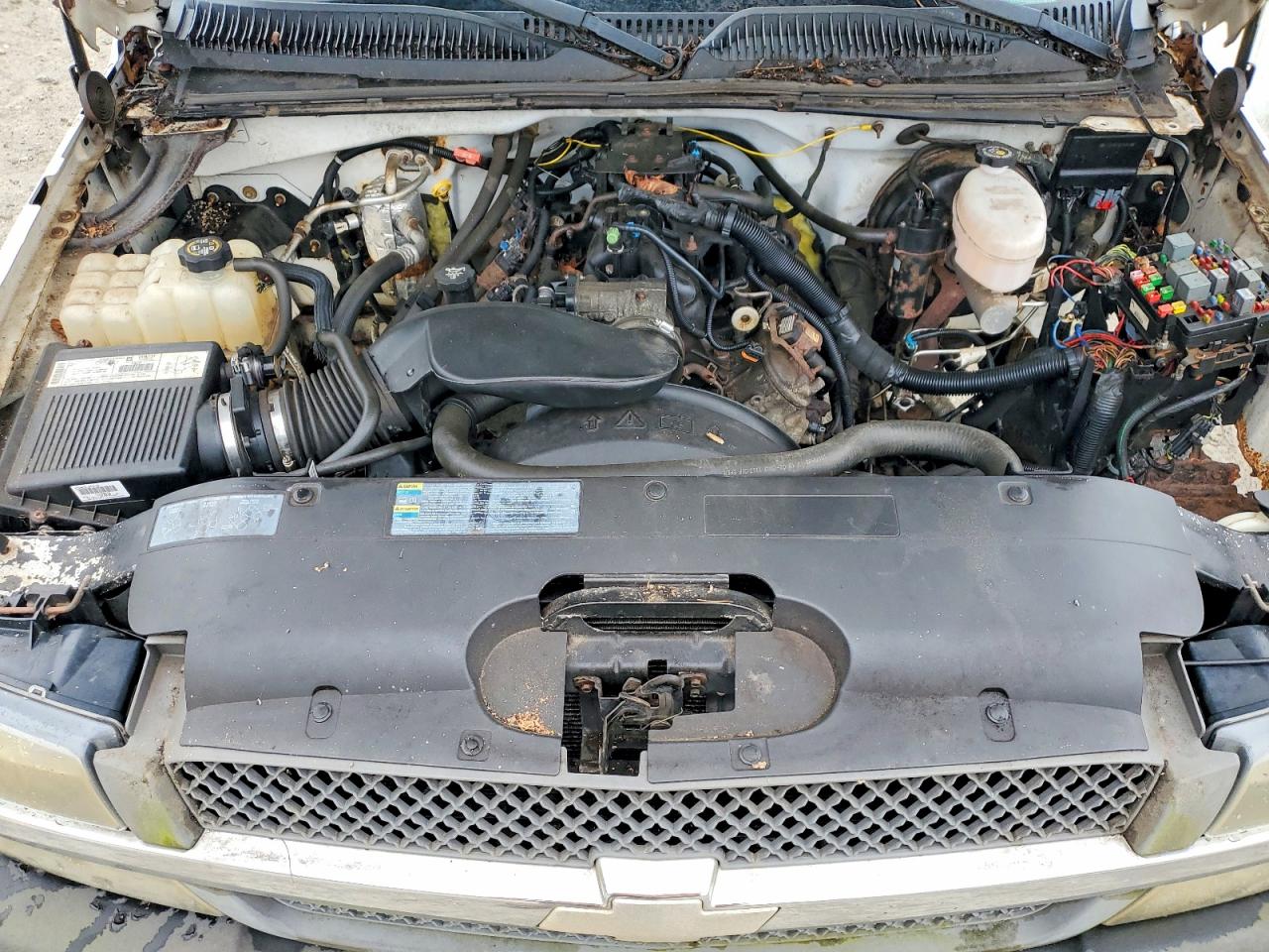 2003 Chevrolet All models VIN 1GCEK14VX3E227215 photo 11