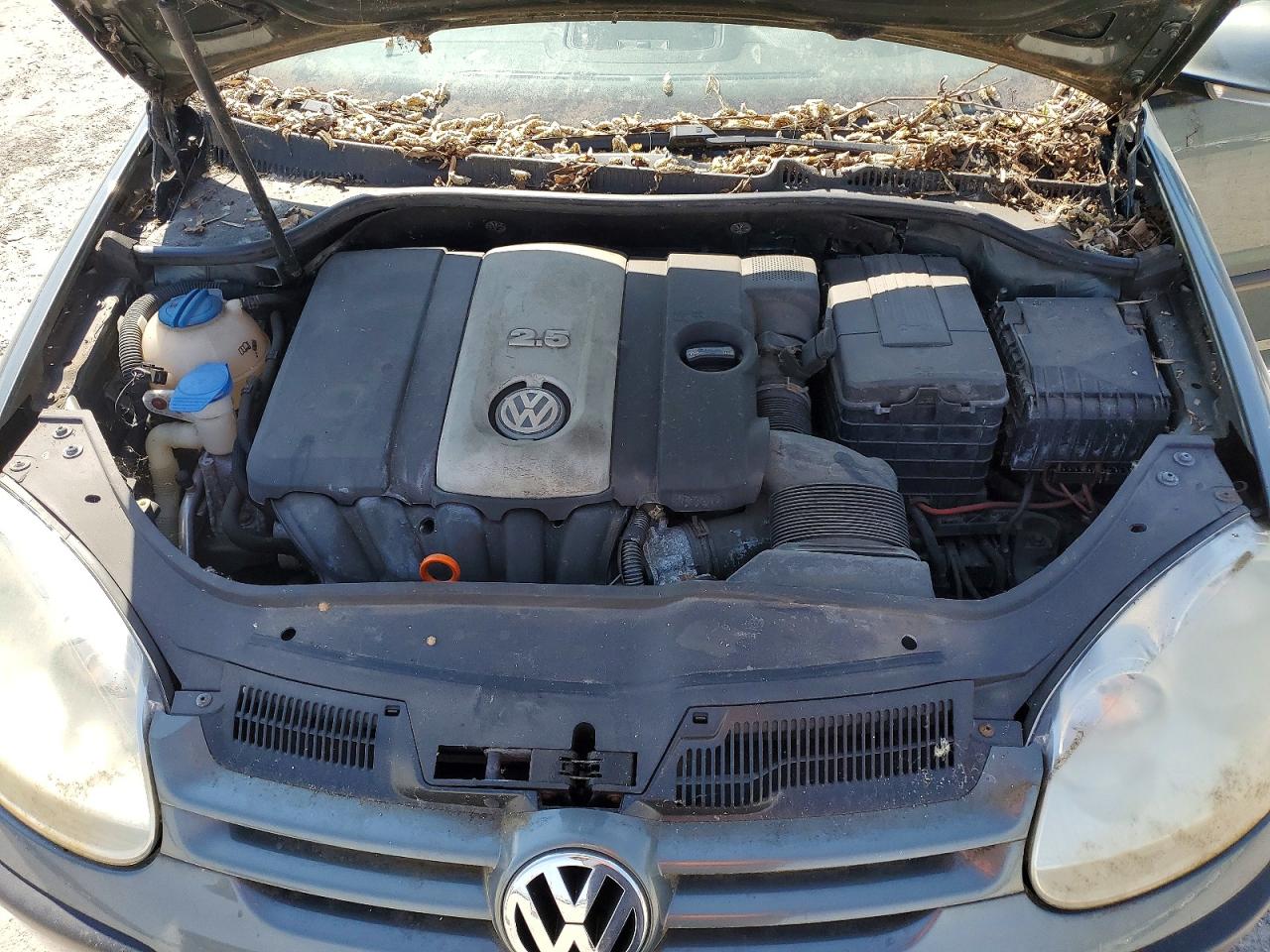 2008 Volkswagen Rabbit VIN WVWBA71K38W315205 photo 11