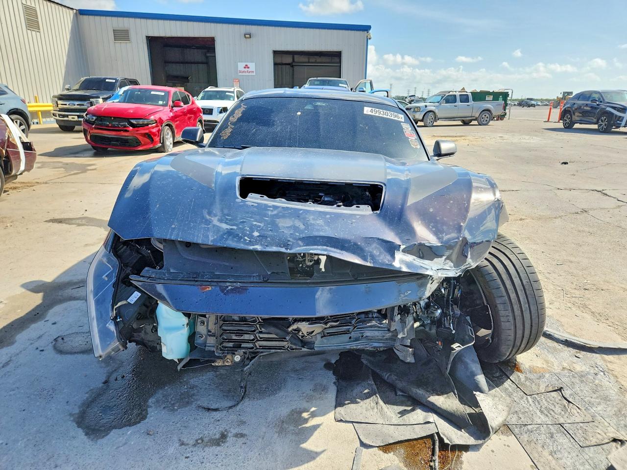 2024 Ford Mustang VIN 1FA6P8R09R5502616 photo 5