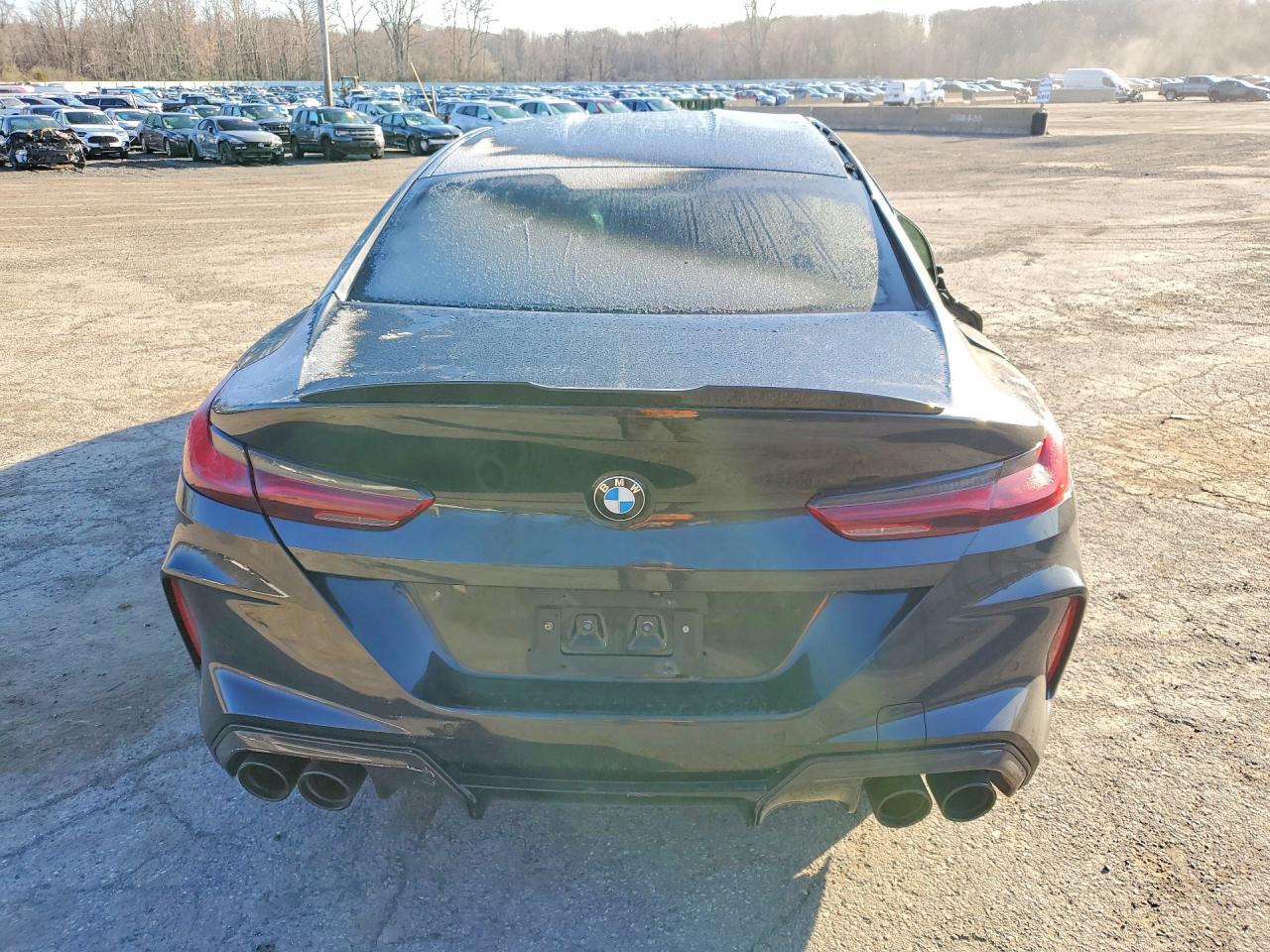 2022 BMW M8 VIN WBSGV0C0XNCH16627 photo 6