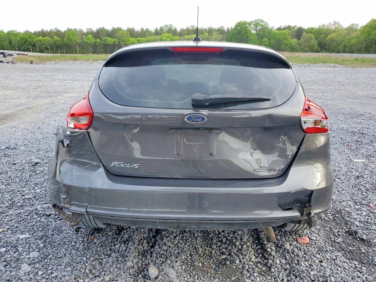 2015 Ford Focus VIN 1FADP3K21FL291781 photo 6
