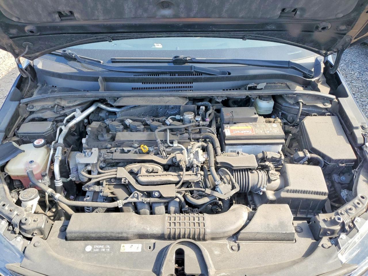 2019 Toyota Corolla VIN JTNK4RBE6K3002634 photo 12