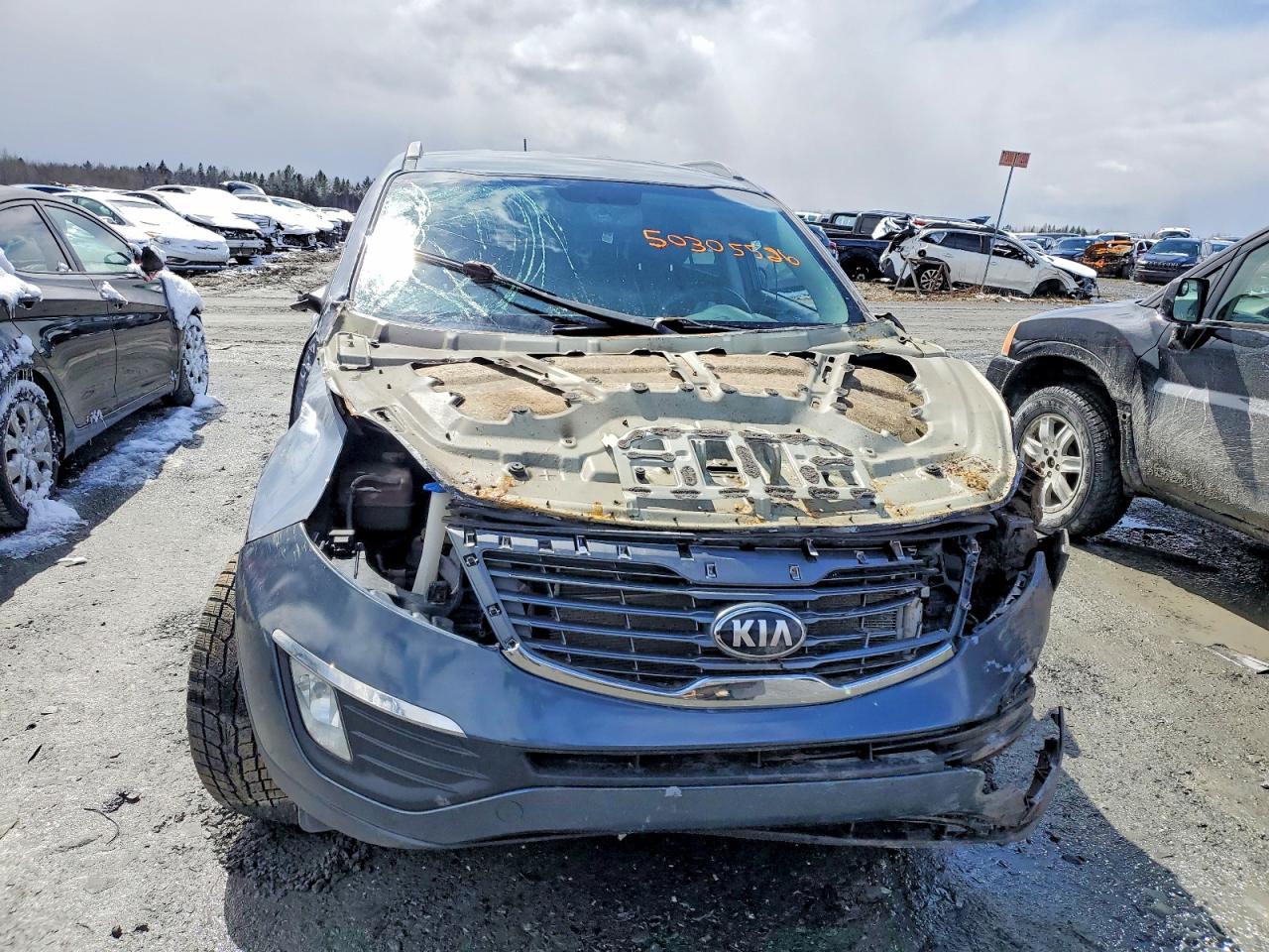 2013 Kia Sportage VIN KNDPCCA24D7479642 photo 5