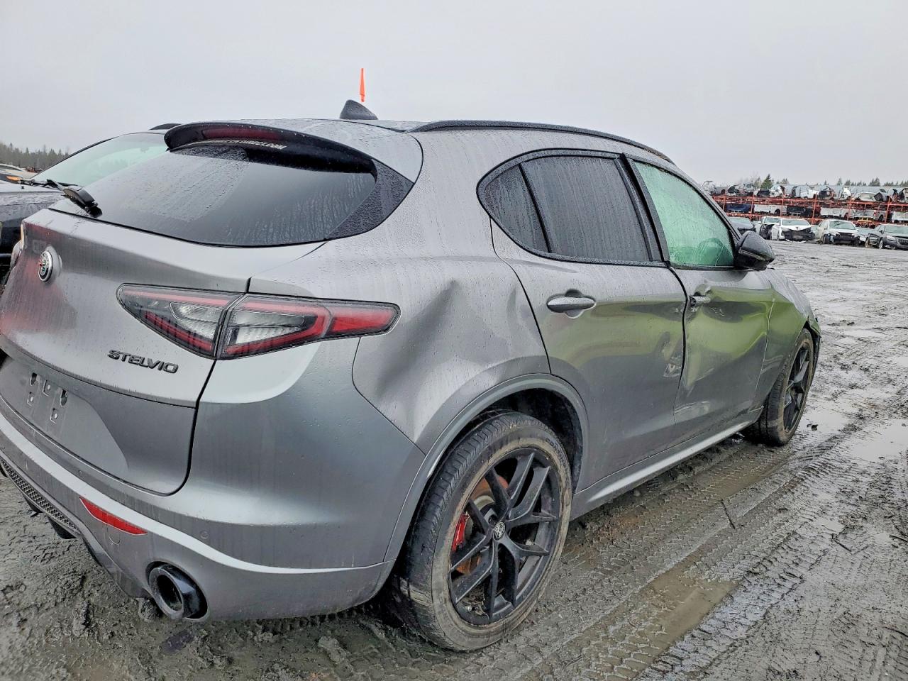 2021 Alfa Stelvio VIN ZASPAKBN0M7D18043 photo 3