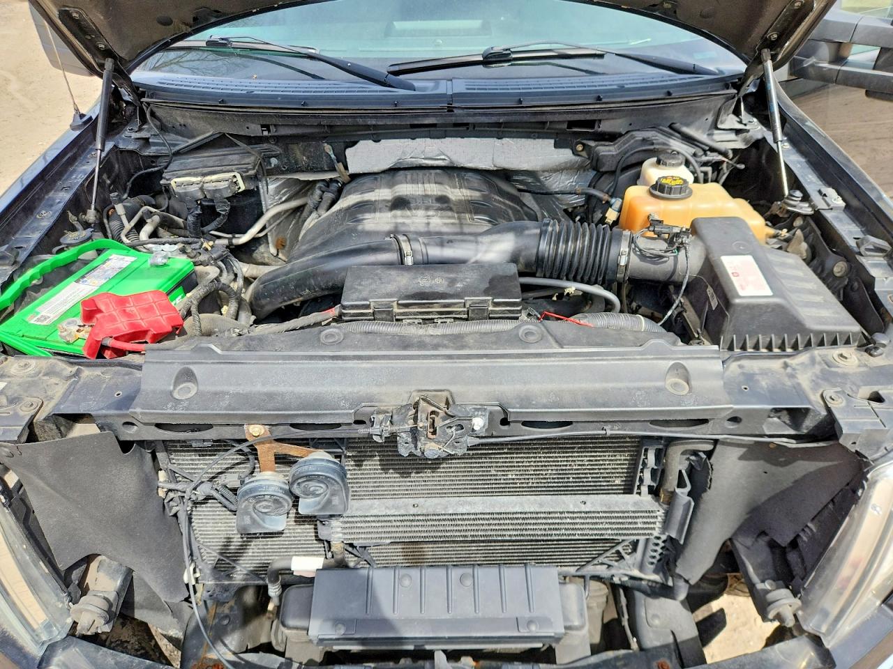 2013 FORD F150 VIN 1FTFW1ET8DKE30662 photo 11