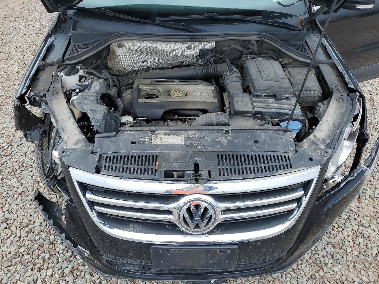2009 Volkswagen Tiguan VIN WVGBV75N79W532438 photo 12
