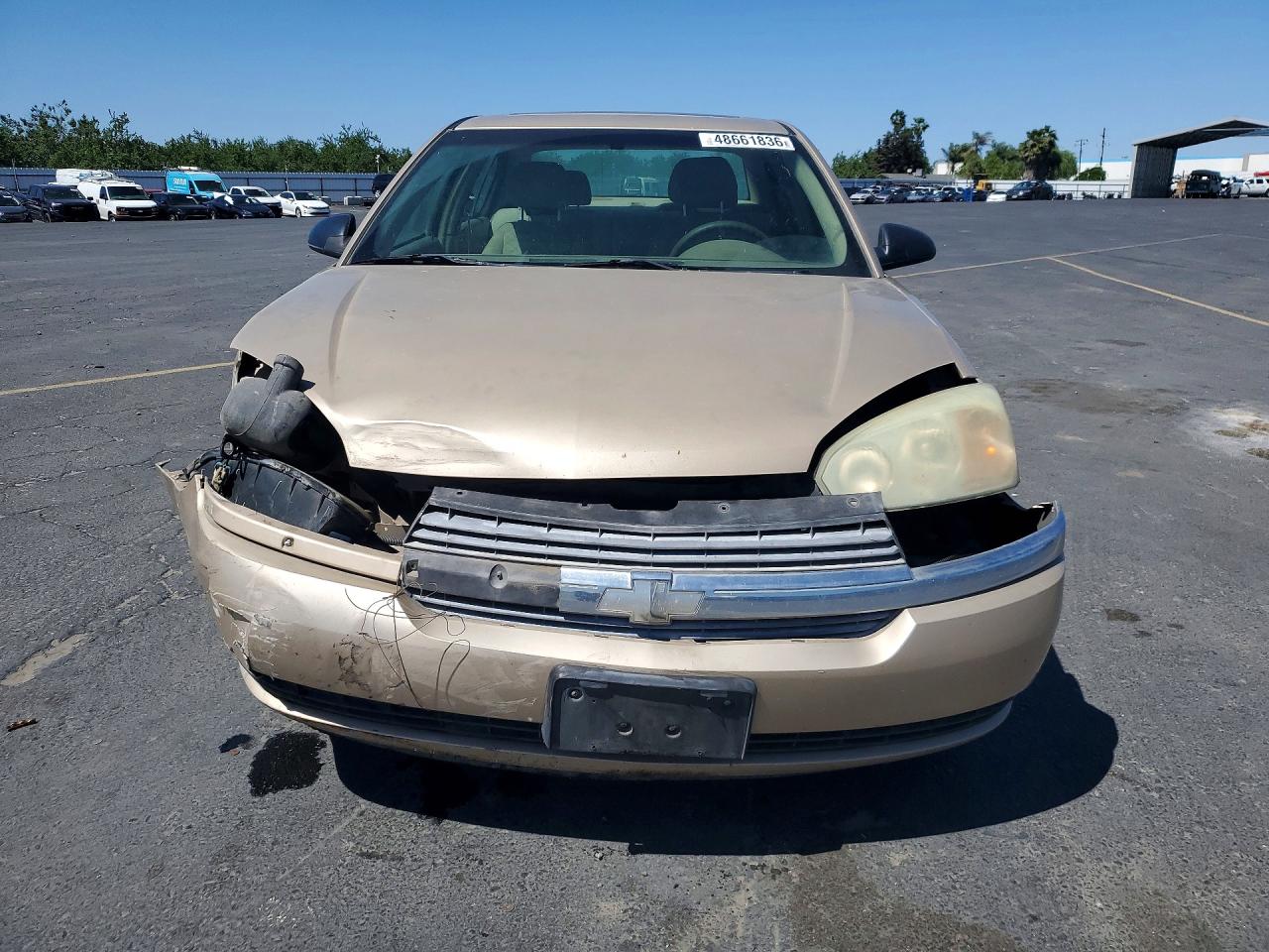 2004 CHEV Malibu VIN 1G1ZT54864F219679 photo 5