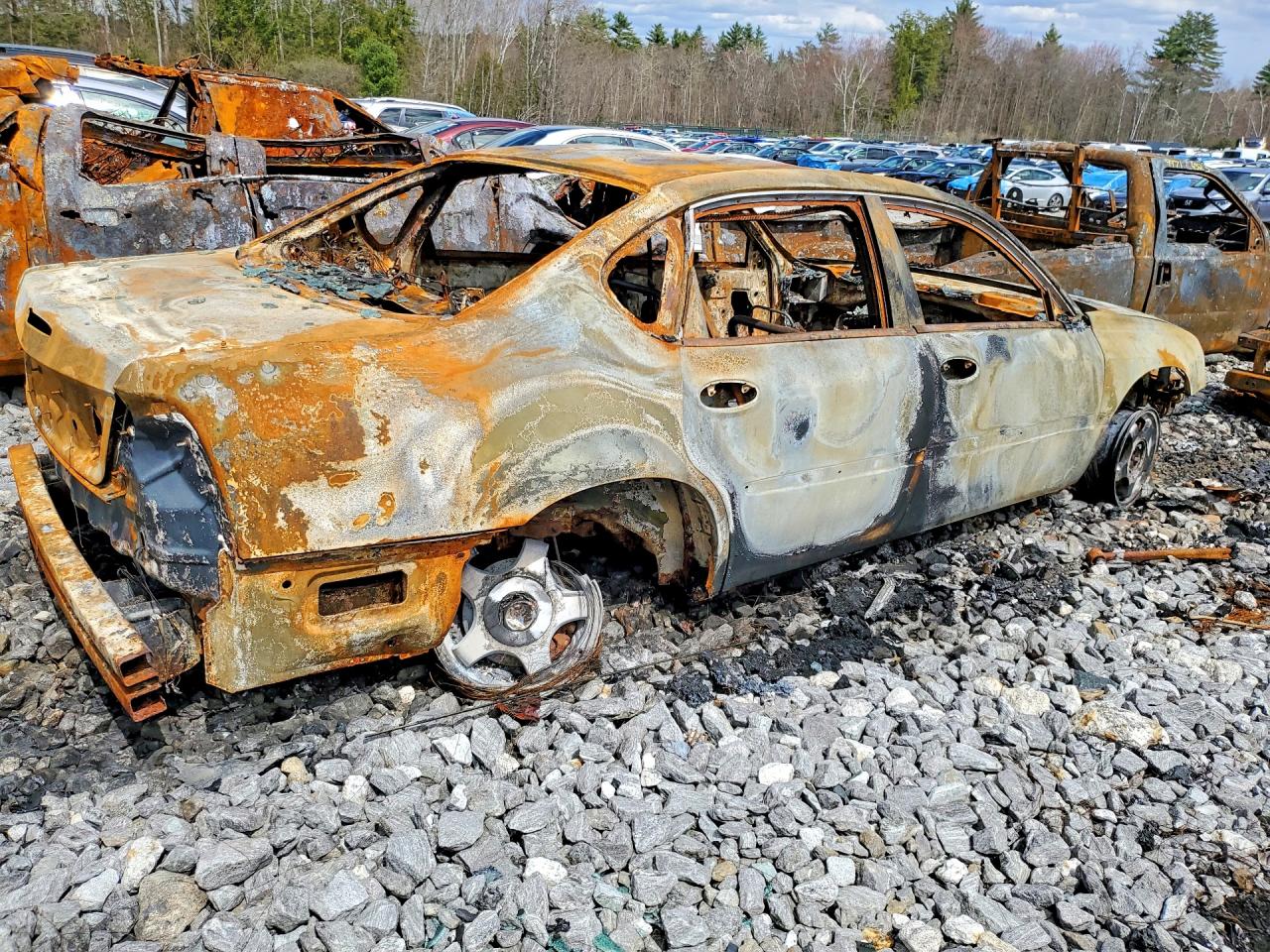 2005 CHEV Impala VIN 2G1WF52E859243544 photo 3