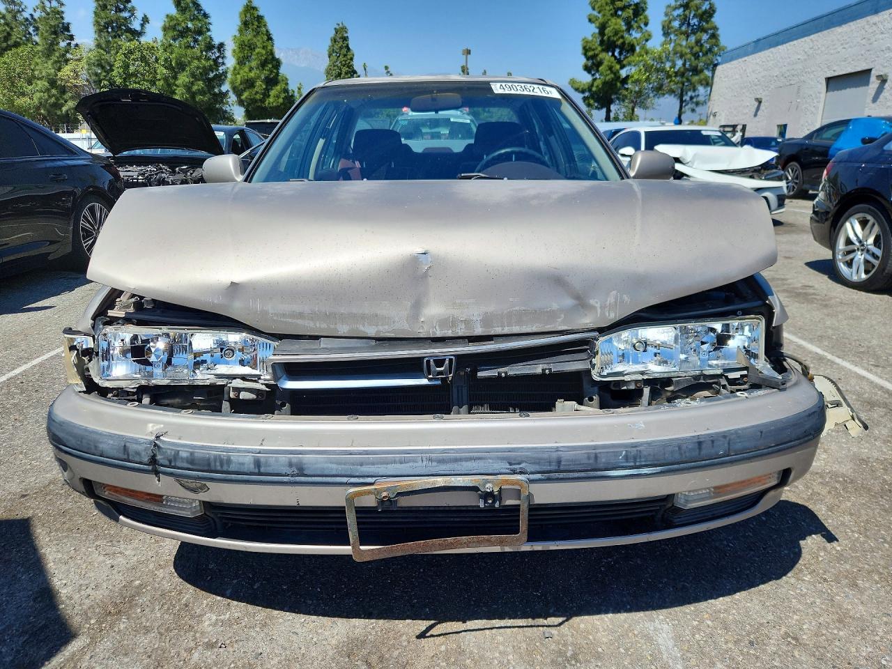 1991 Honda Accord VIN 1HGCB7659MA097915 photo 5