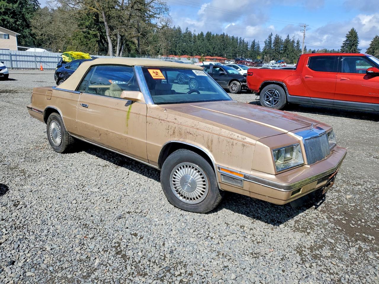 1984 CHRYSLER Lebaron VIN 1C3BC55C3EG167732 photo 4