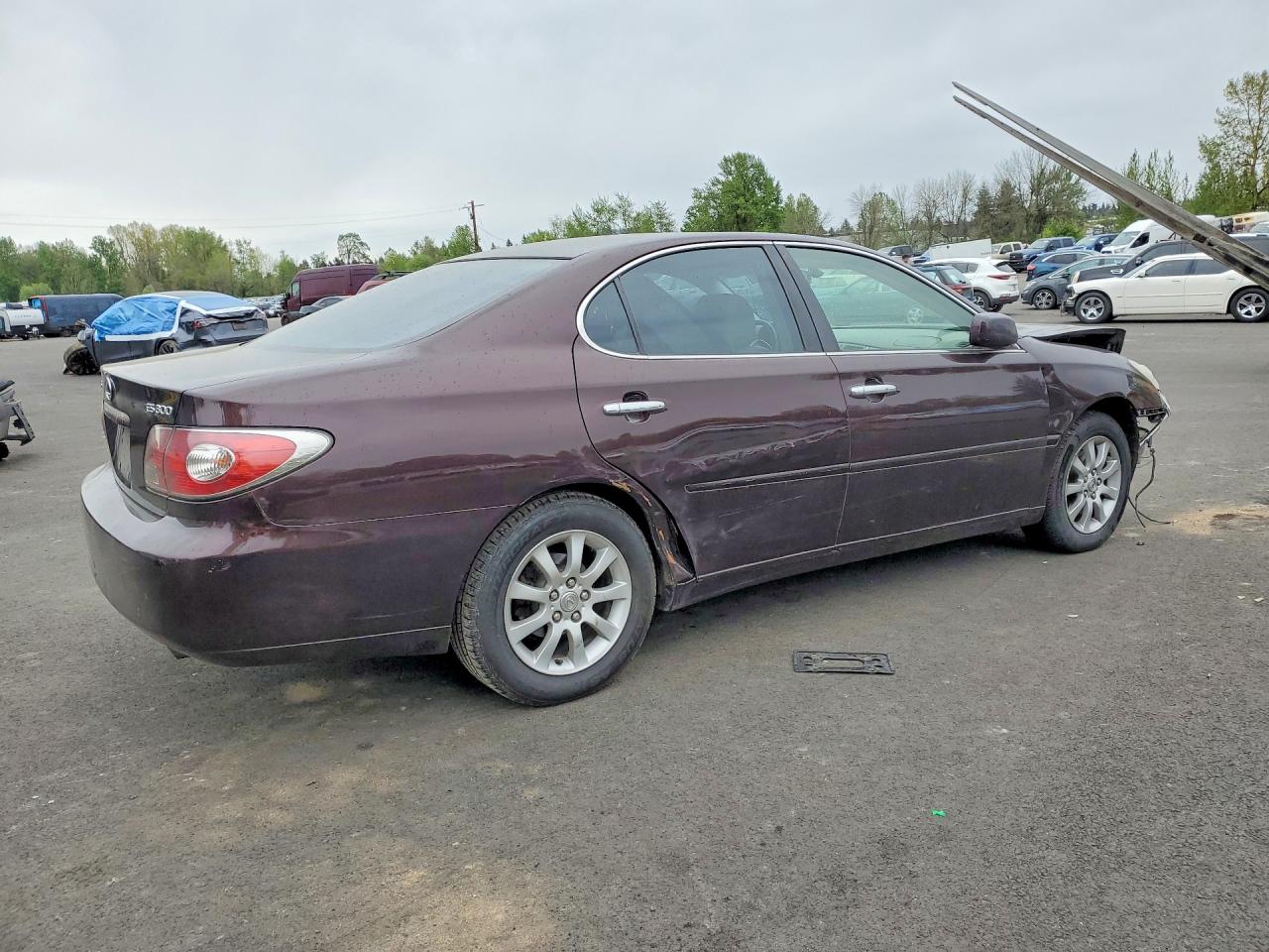 2003 Lexus Es300 VIN JTHBF30G330131982 photo 3