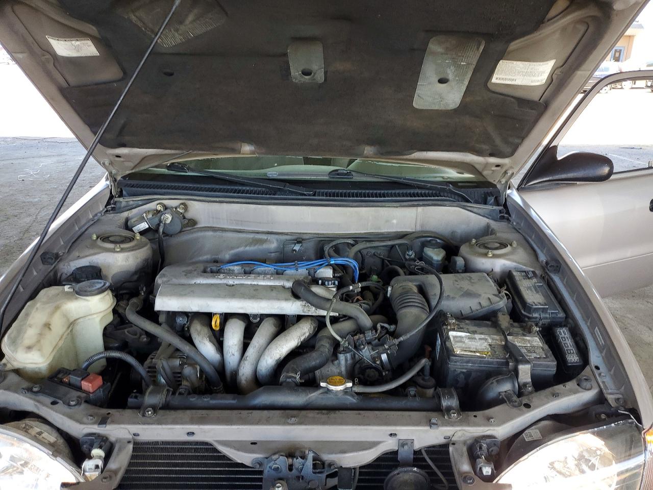 1999 Toyota Corolla VIN 1NXBR12EXXZ176808 photo 11