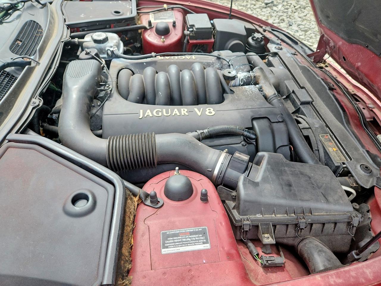 1998 Jaguar Xk8 VIN SAJGX2240WC026130 photo 11
