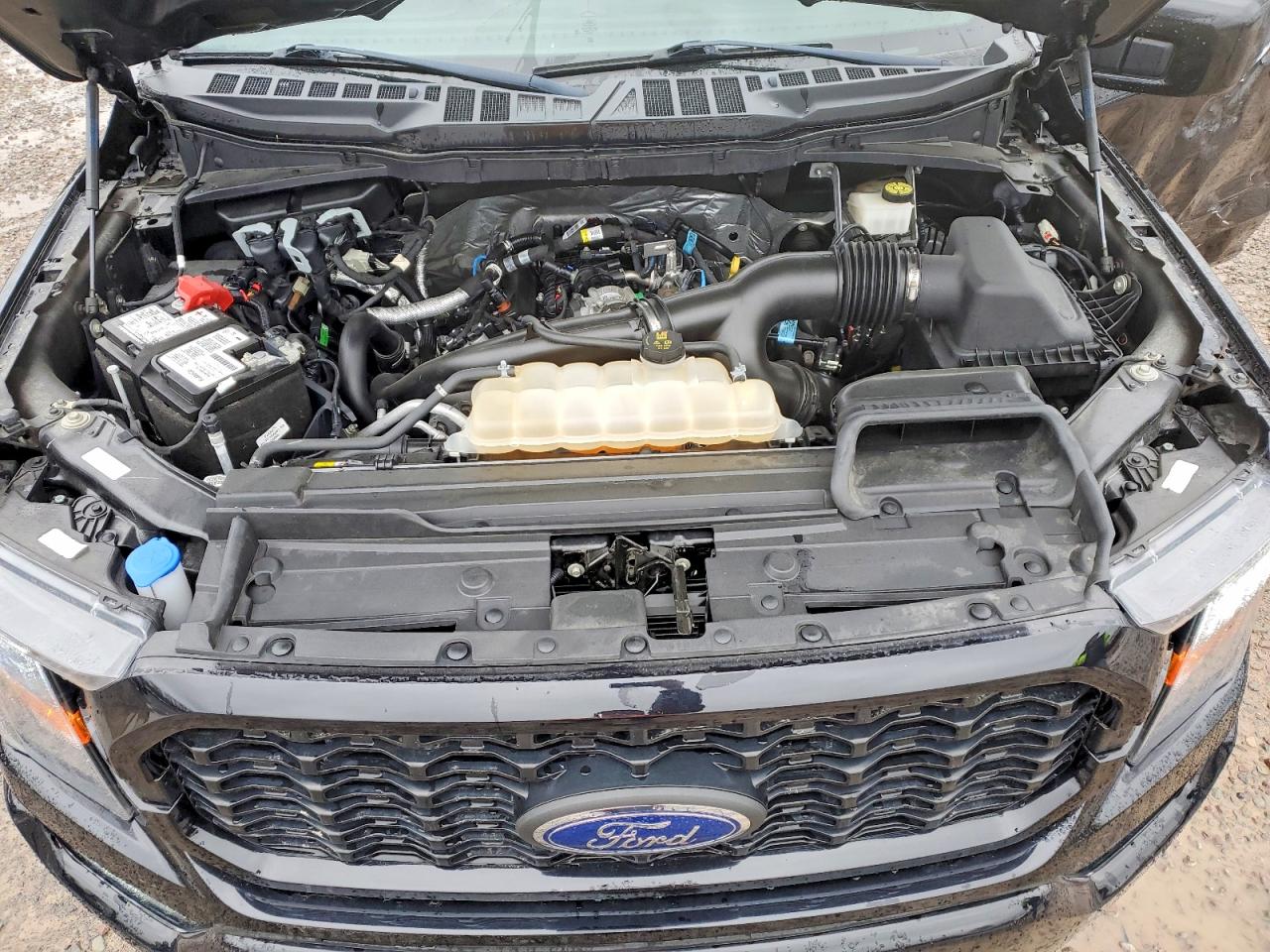 2023 Ford F150 VIN 1FTEW1EP3PFA55601 photo 11