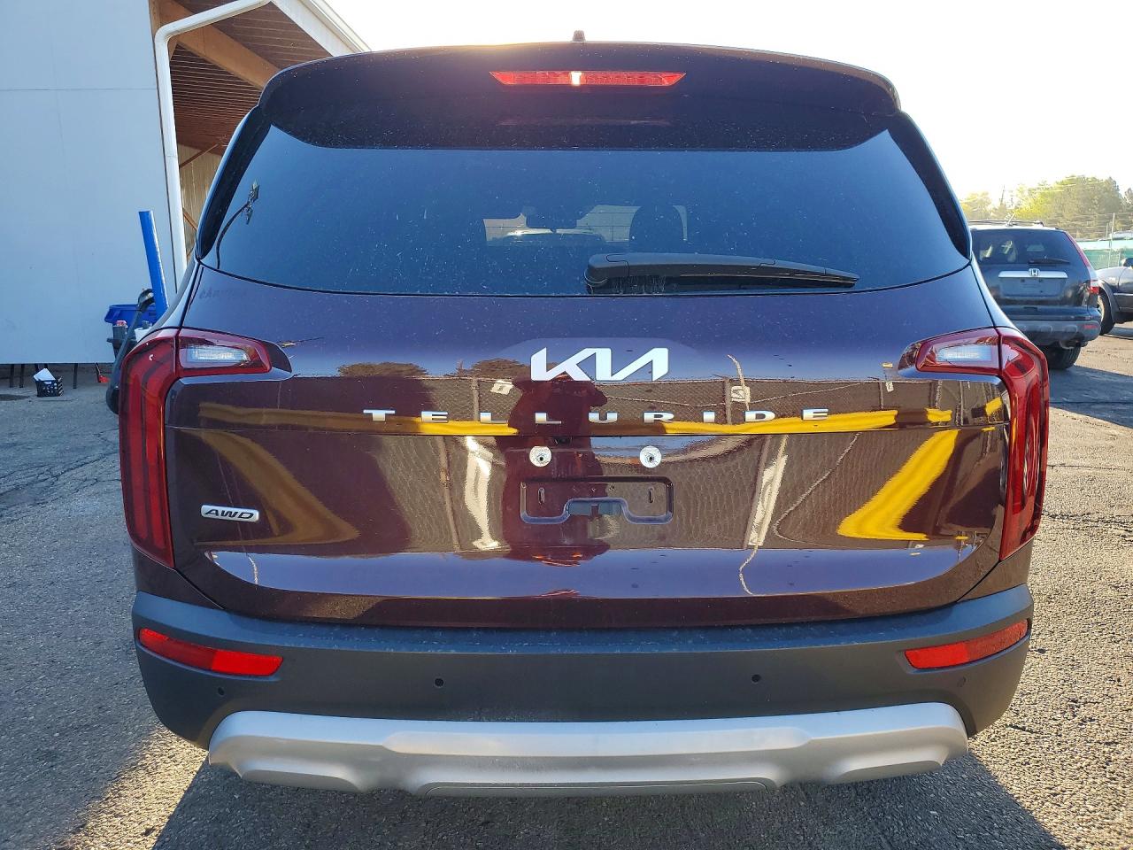 2022 Kia Telluride VIN 5XYP2DHC0NG292569 photo 6