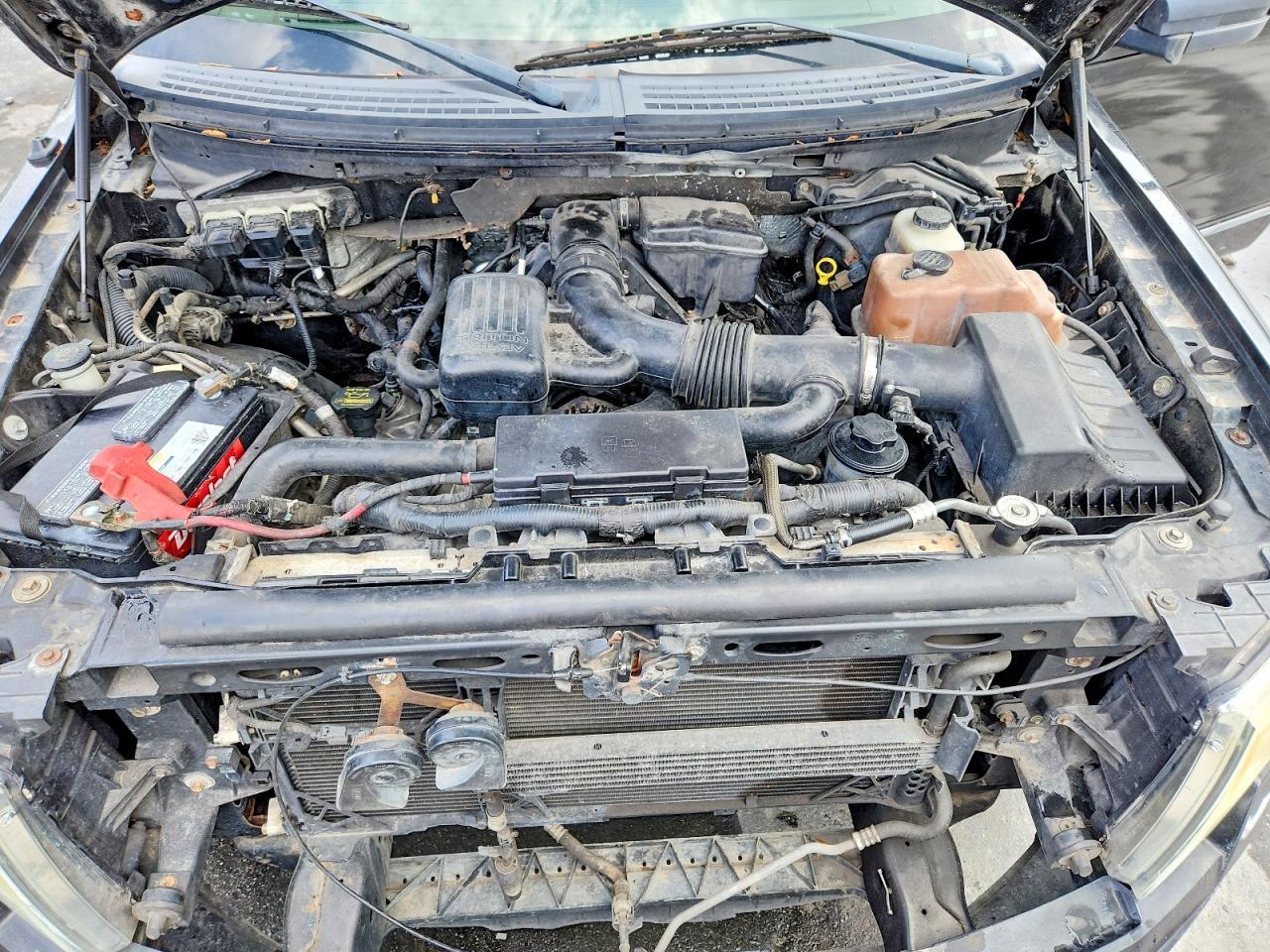 2010 Ford F150 VIN 1FTFW1EV4AFA00259 photo 11