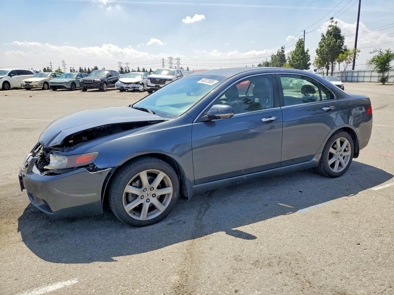 2004 Acura Tsx VIN JH4CL96944C026103 photo 1