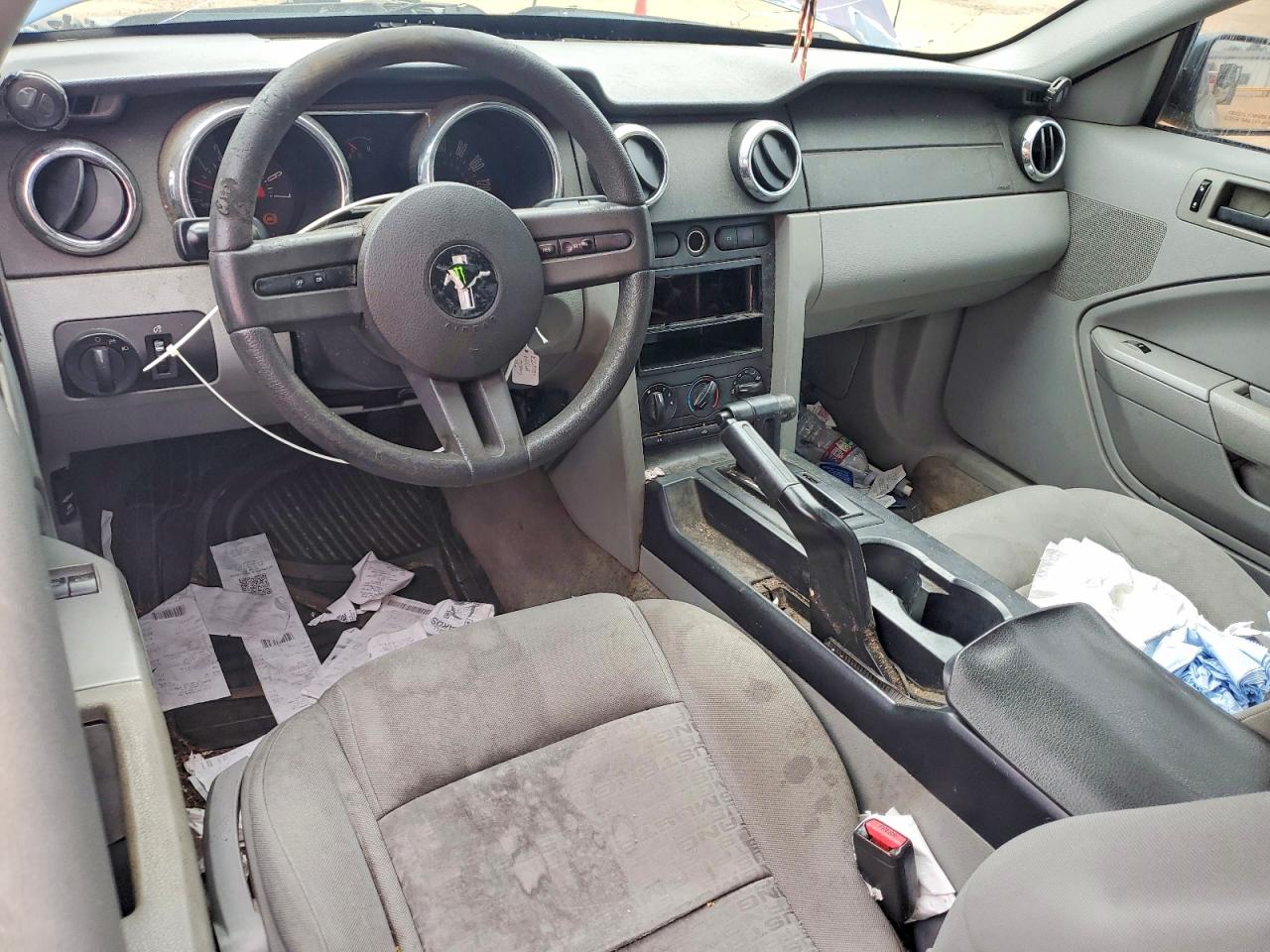 2006 Ford Mustang VIN 1ZVFT80N165166712 photo 8