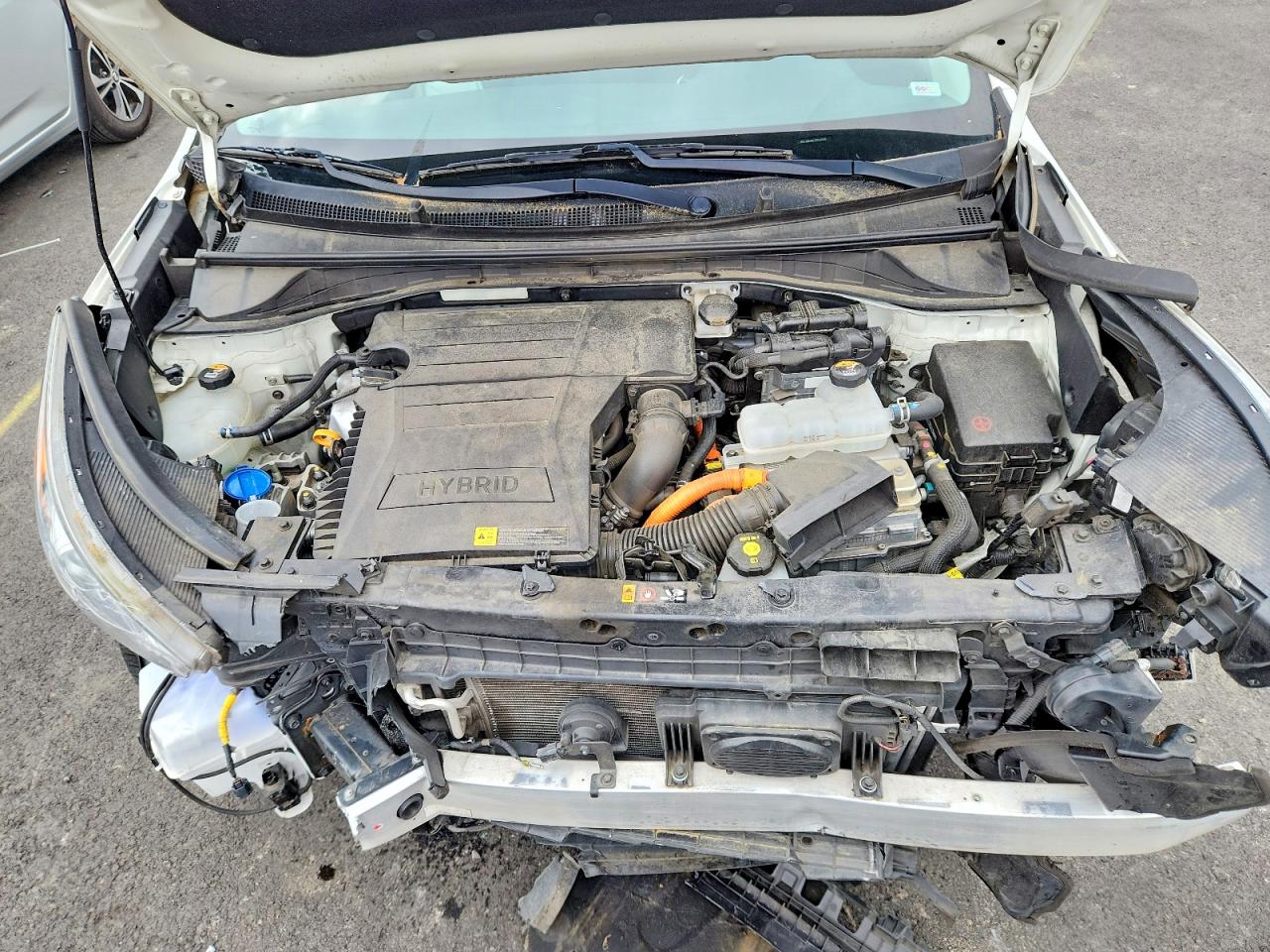2019 Kia Niro VIN KNDCB3LC6K5349491 photo 11
