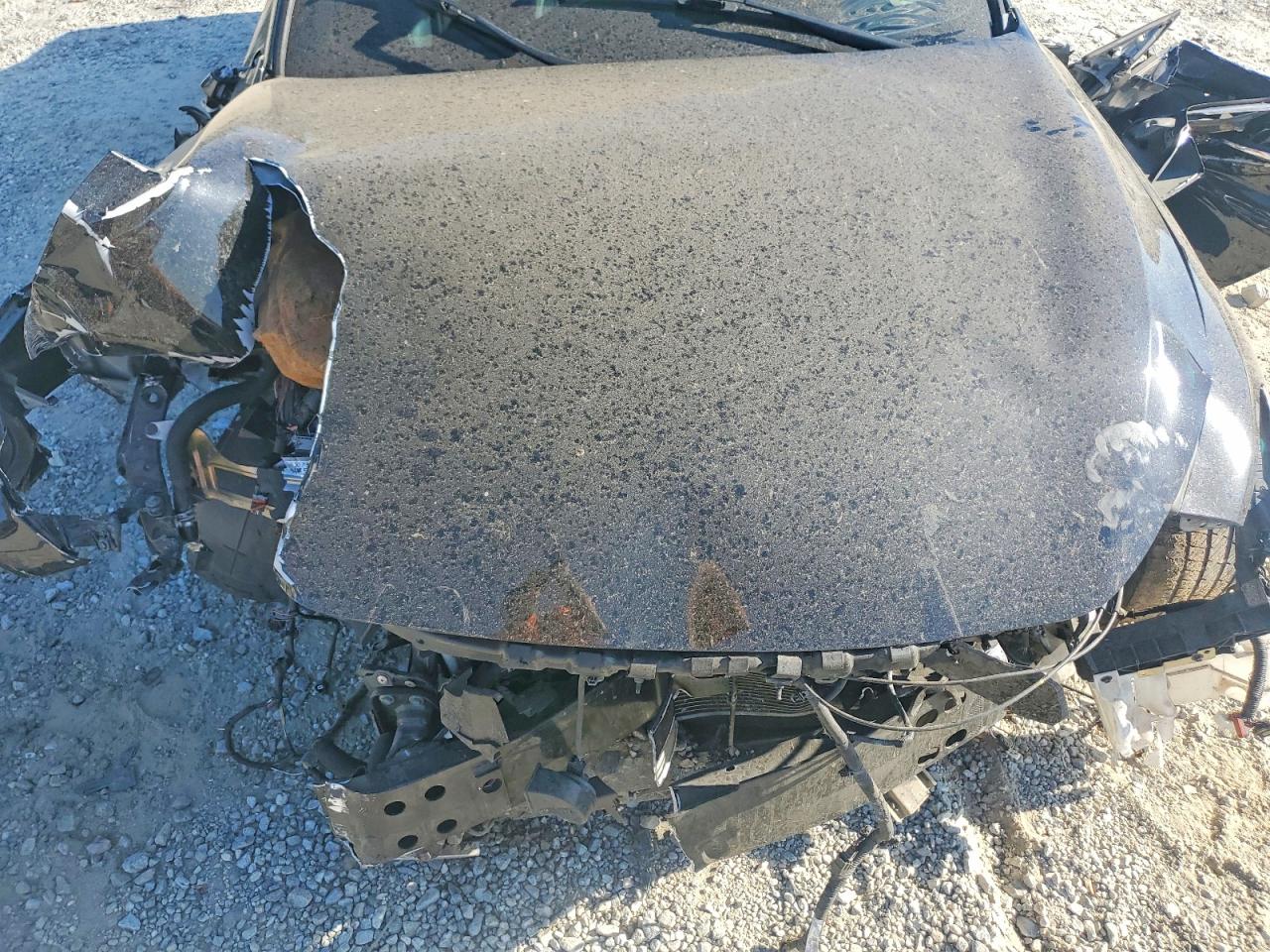 2019 Infiniti Q60 VIN JN1EV7EKXKM231495 photo 11