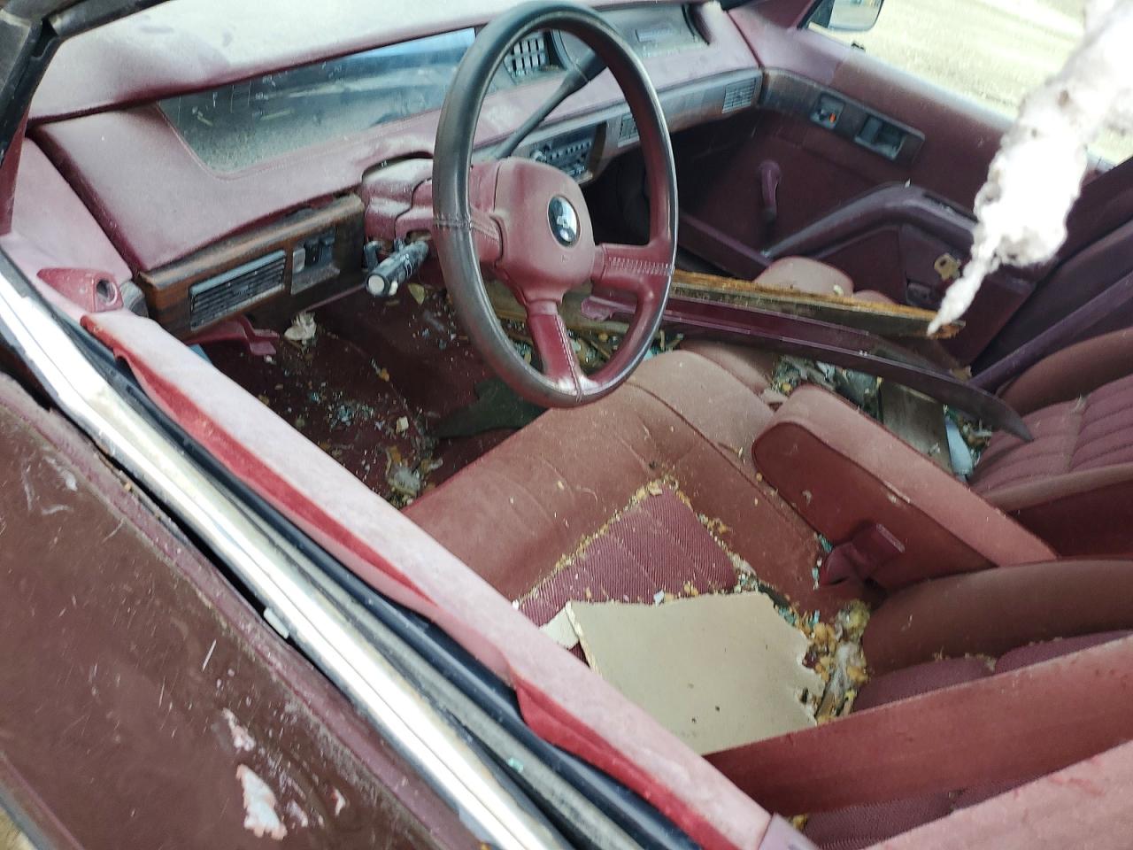 1992 CHEV All models VIN 2G1WL54TXN9287078 photo 8