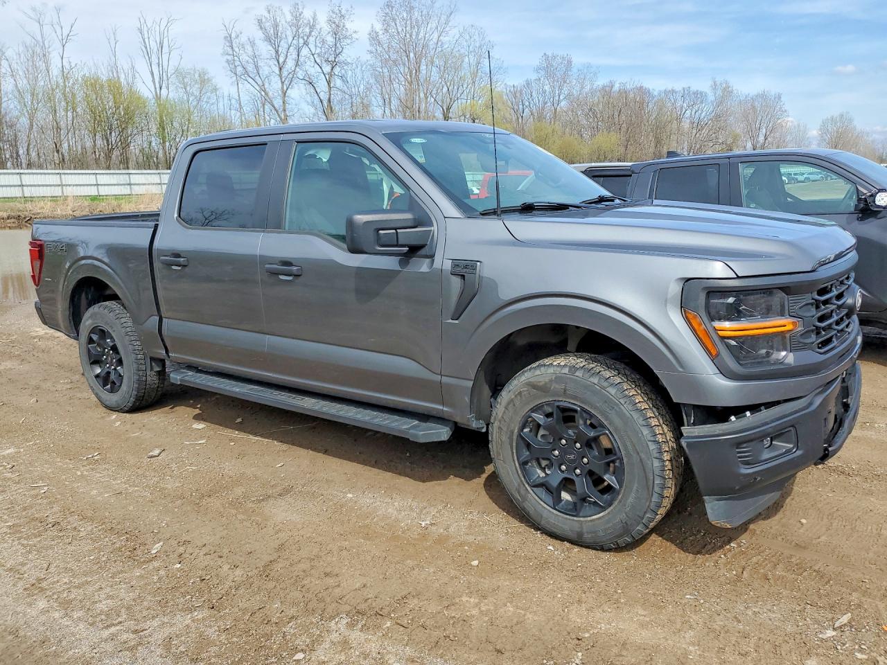 2025 Ford F150 VIN 1FTEW2LP3SKD99728 photo 4