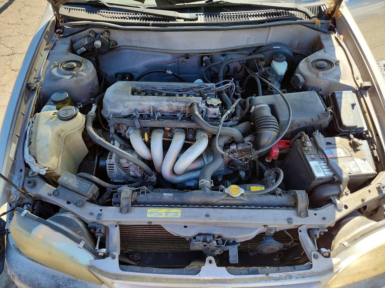 1998 Toyota Corolla VIN 1NXBR12E4WZ130132 photo 11