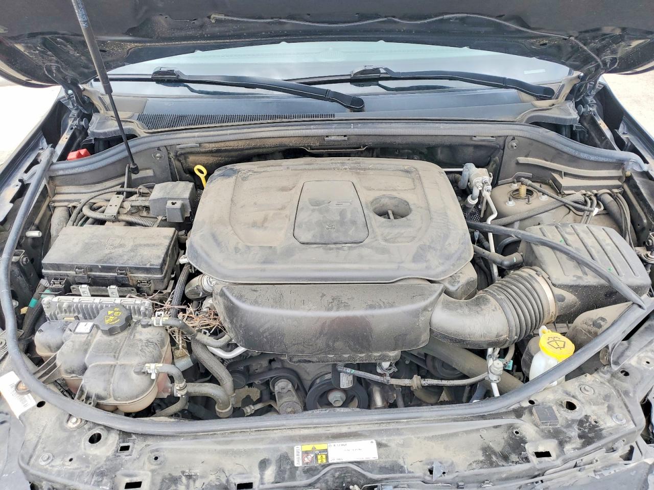 2019 Jeep Cherokee VIN 1C4RJFLG5KC804229 photo 12