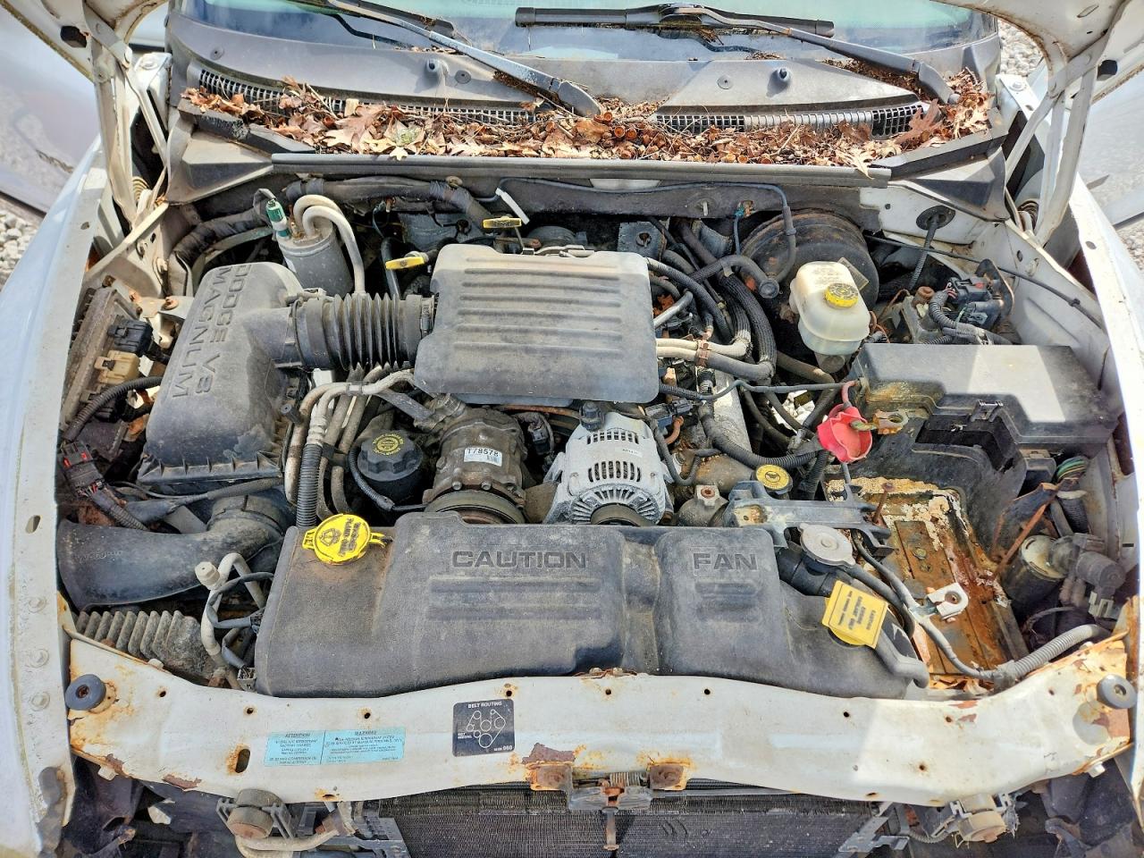 2001 Dodge Dakota VIN 1B7HG2AN01S293408 photo 11